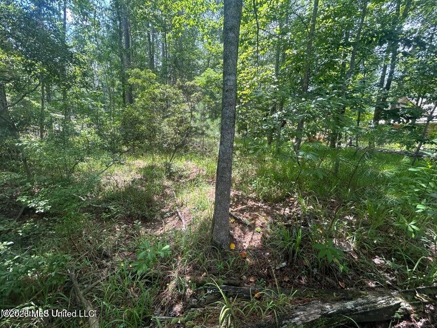 00 Pine Tree Road Property Photo 3