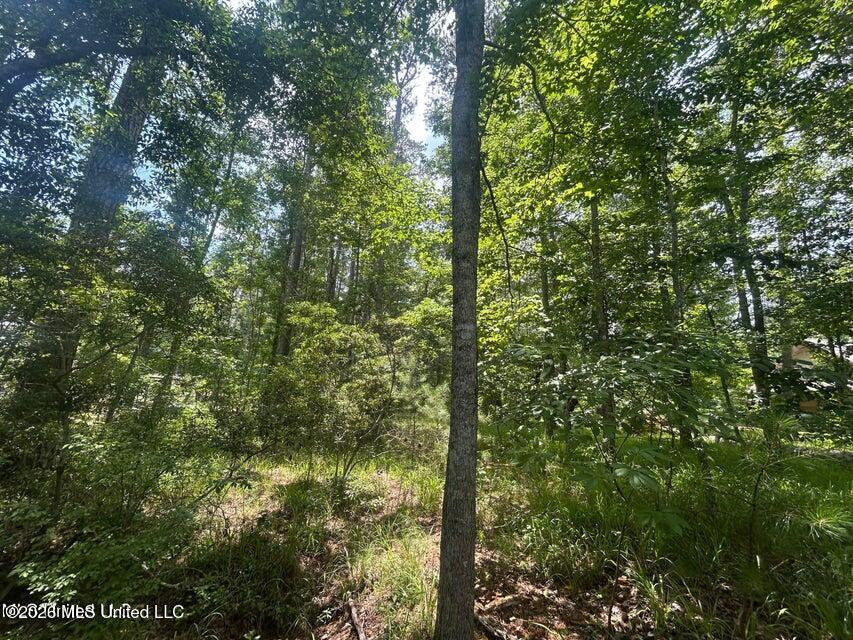 00 Pine Tree Road Property Photo 4
