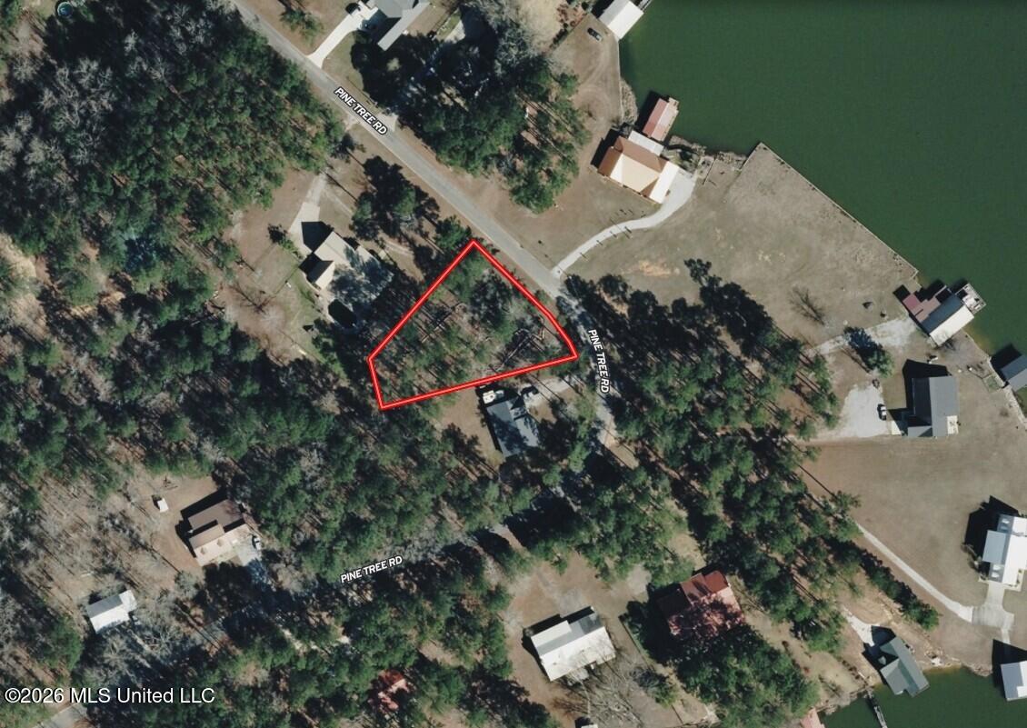 00 Pine Tree Road Property Photo 5