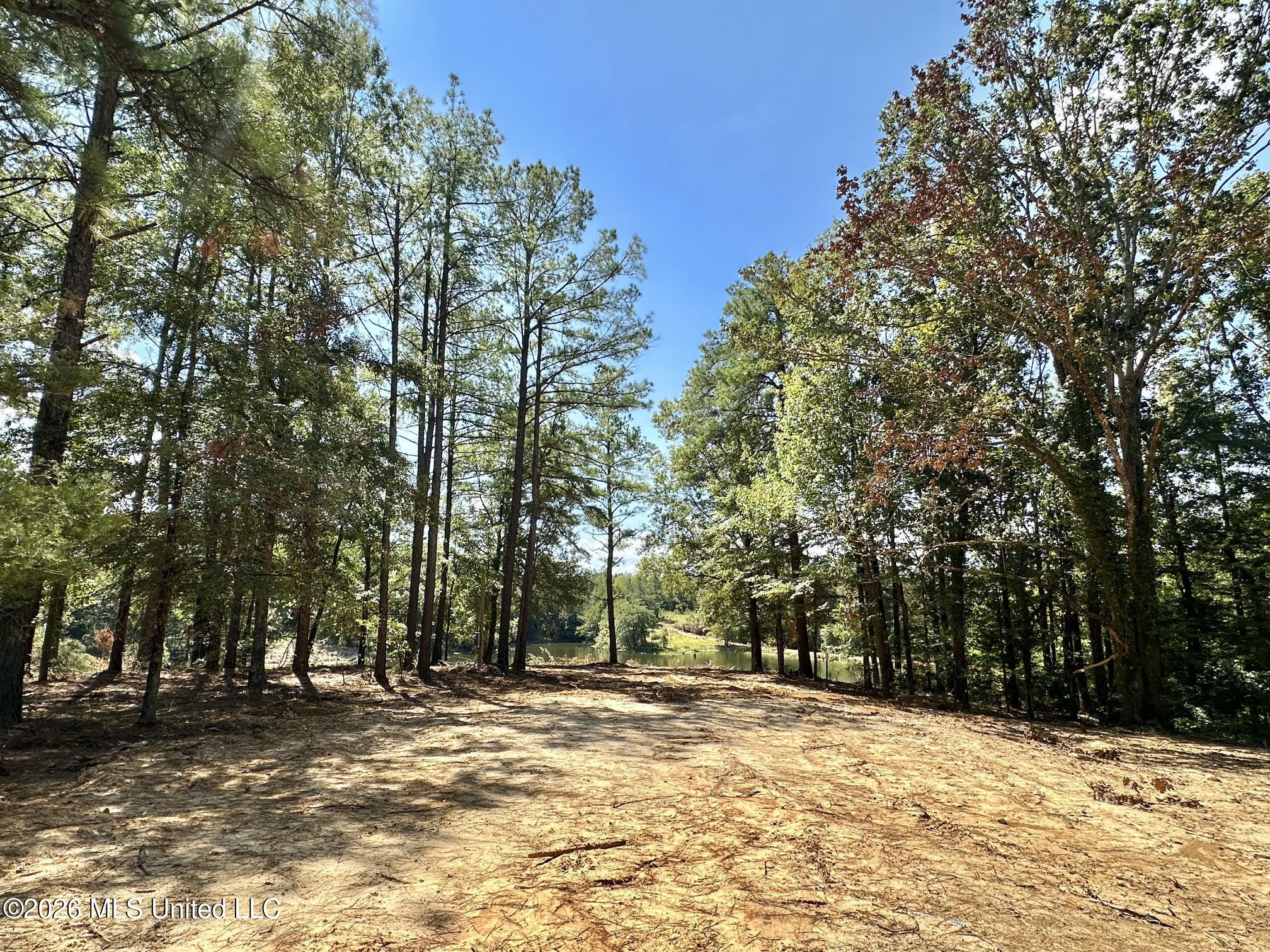 00 Race Track Road Property Photo 2