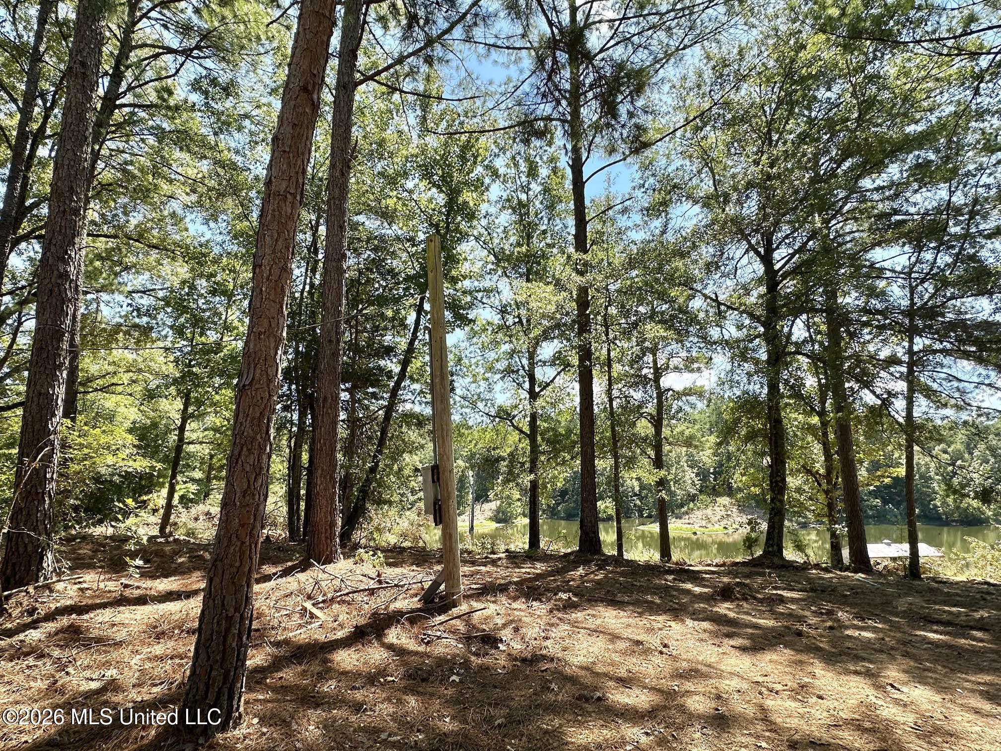 00 Race Track Road Property Photo 3