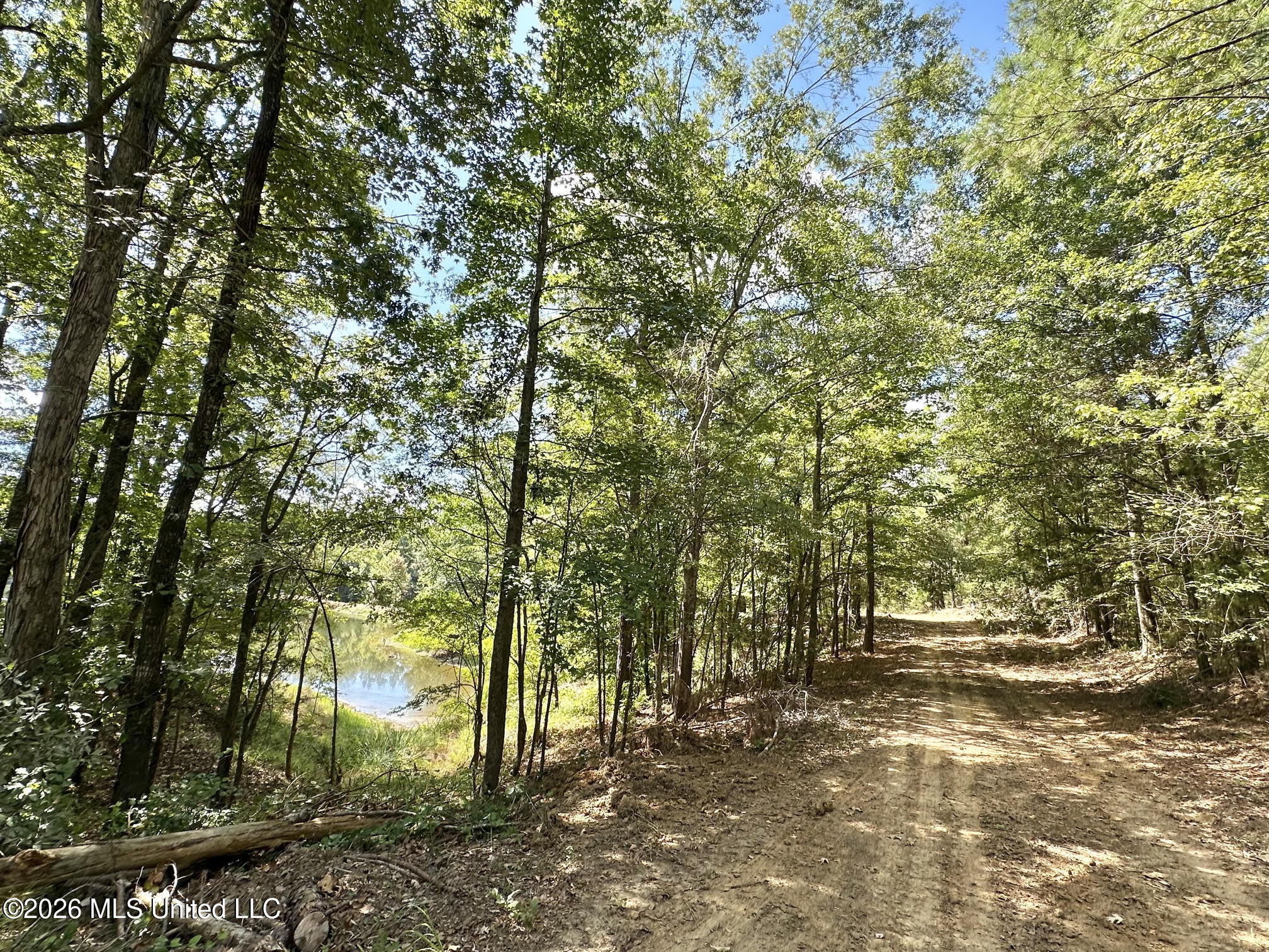 00 Race Track Road Property Photo 6