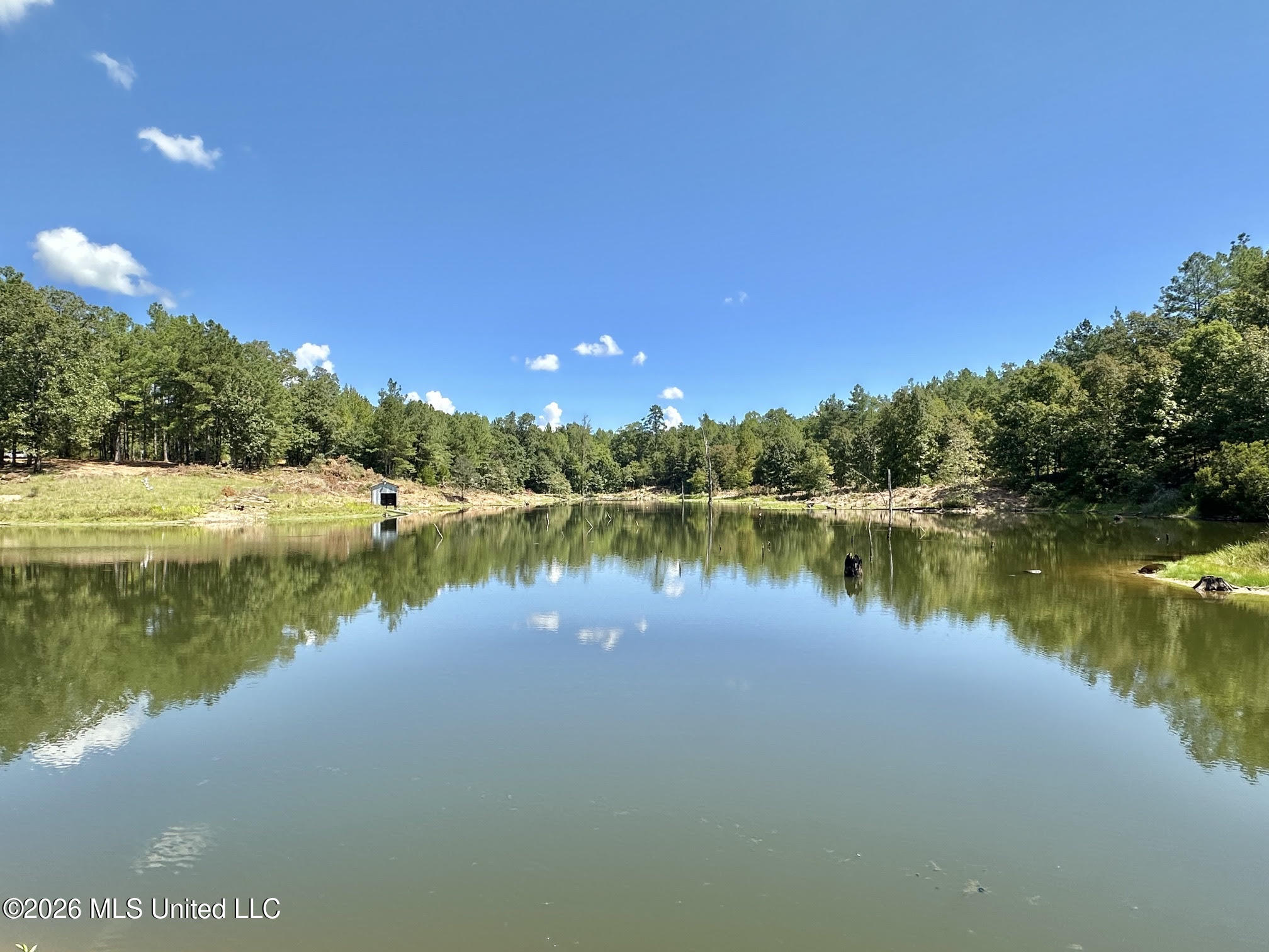 00 Race Track Road Property Photo 8