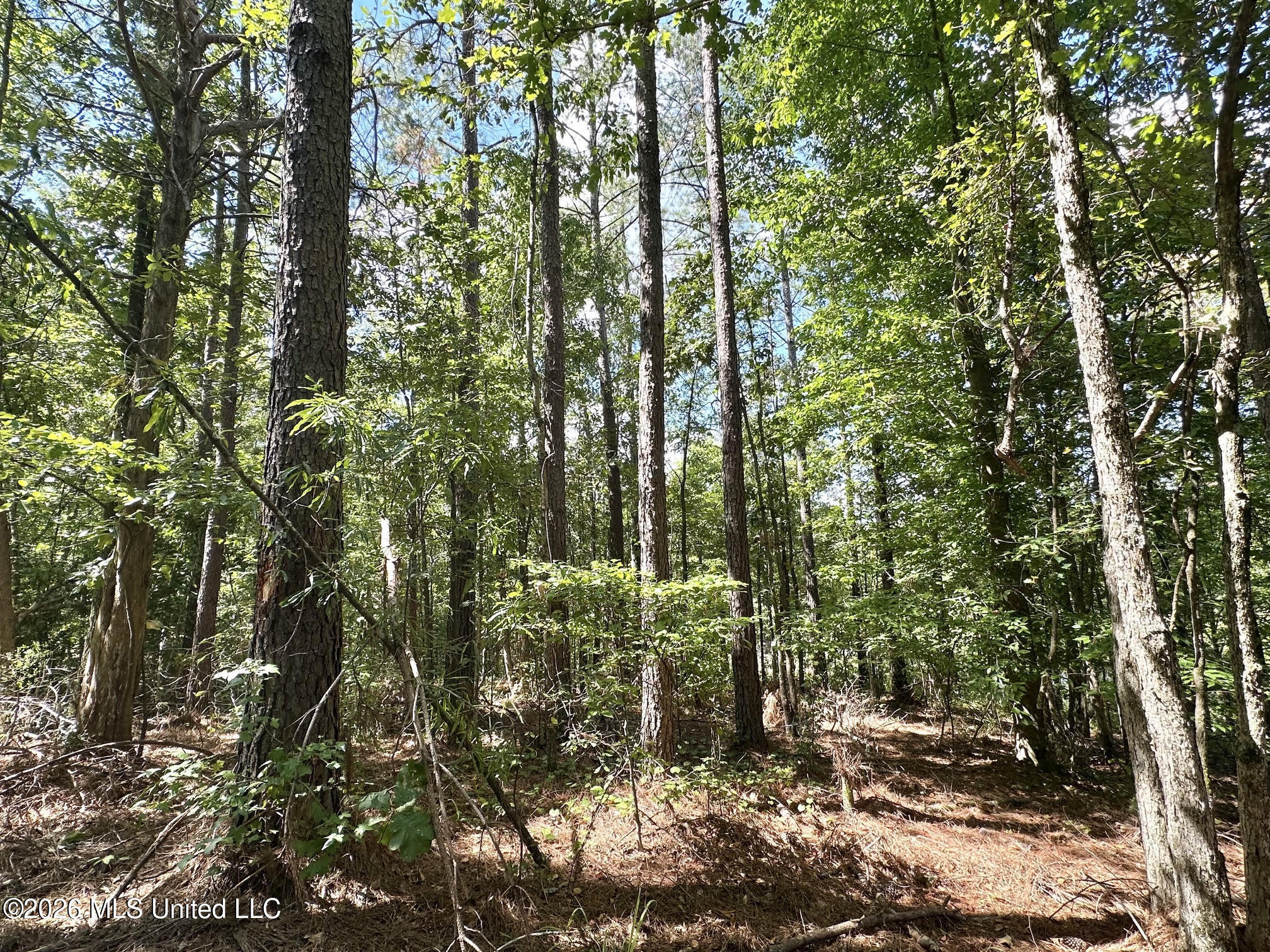 00 Race Track Road Property Photo 12