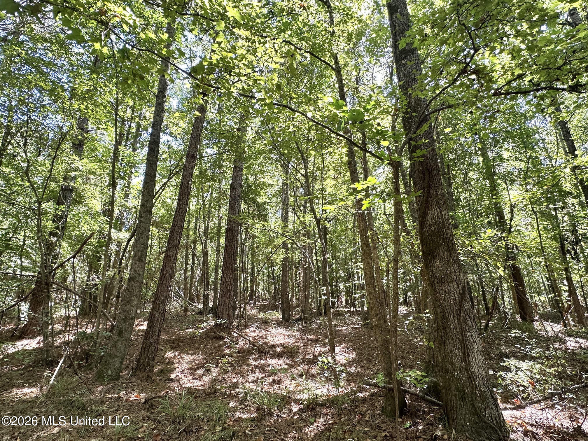 00 Race Track Road Property Photo 14