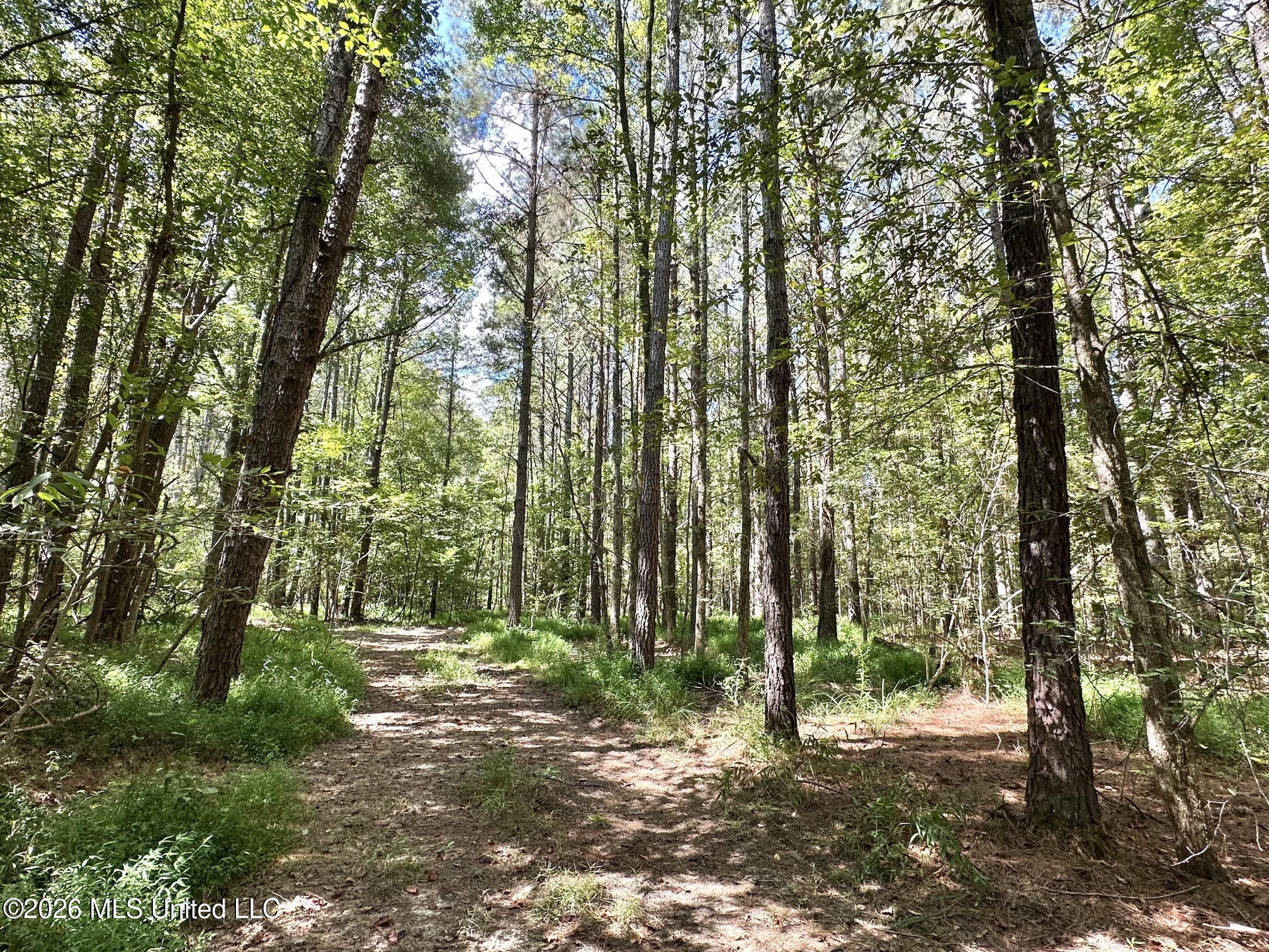 00 Race Track Road Property Photo 16