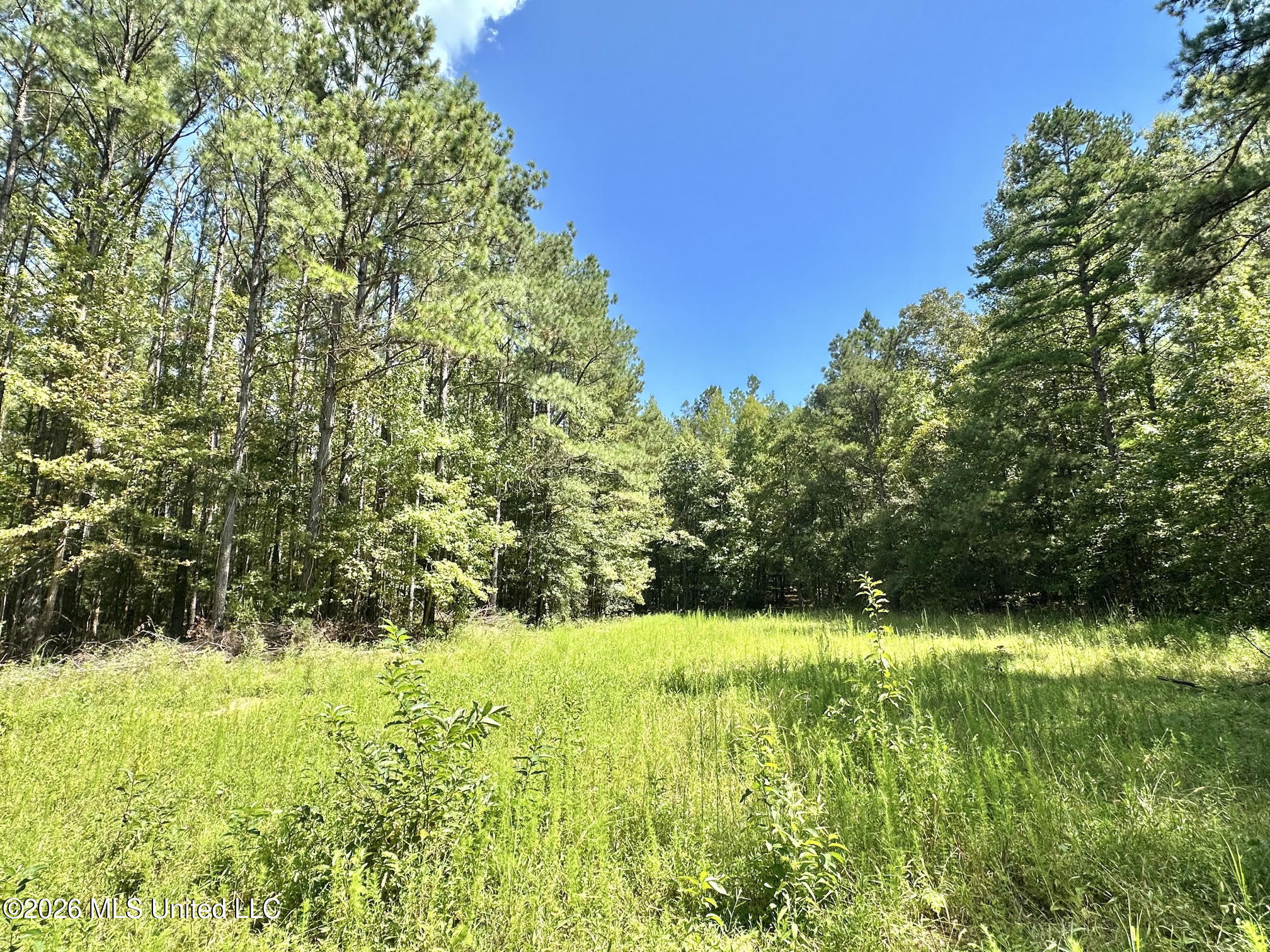 00 Race Track Road Property Photo 18