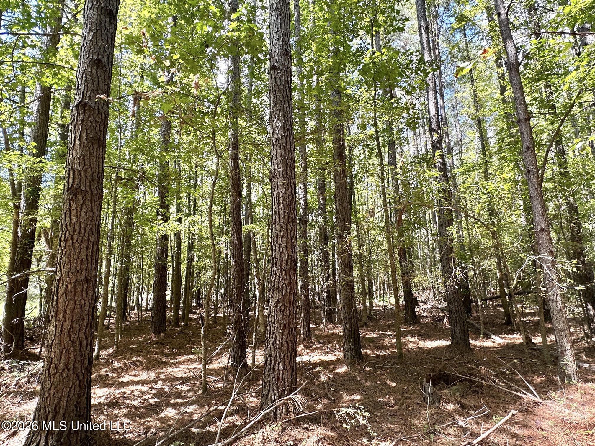 00 Race Track Road Property Photo 19