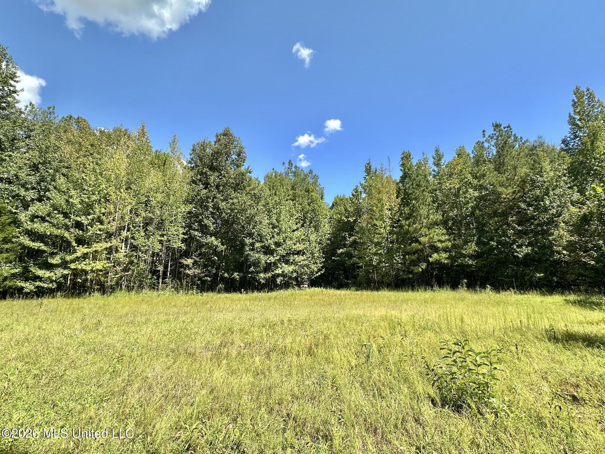 00 Race Track Road Property Photo 22