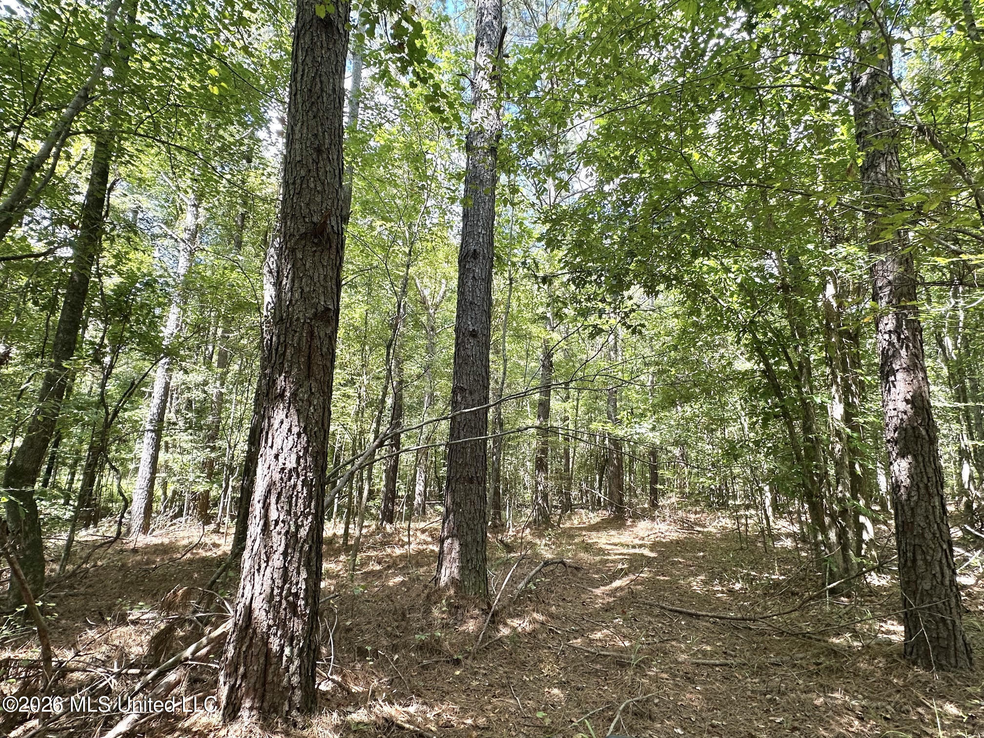 00 Race Track Road Property Photo 23