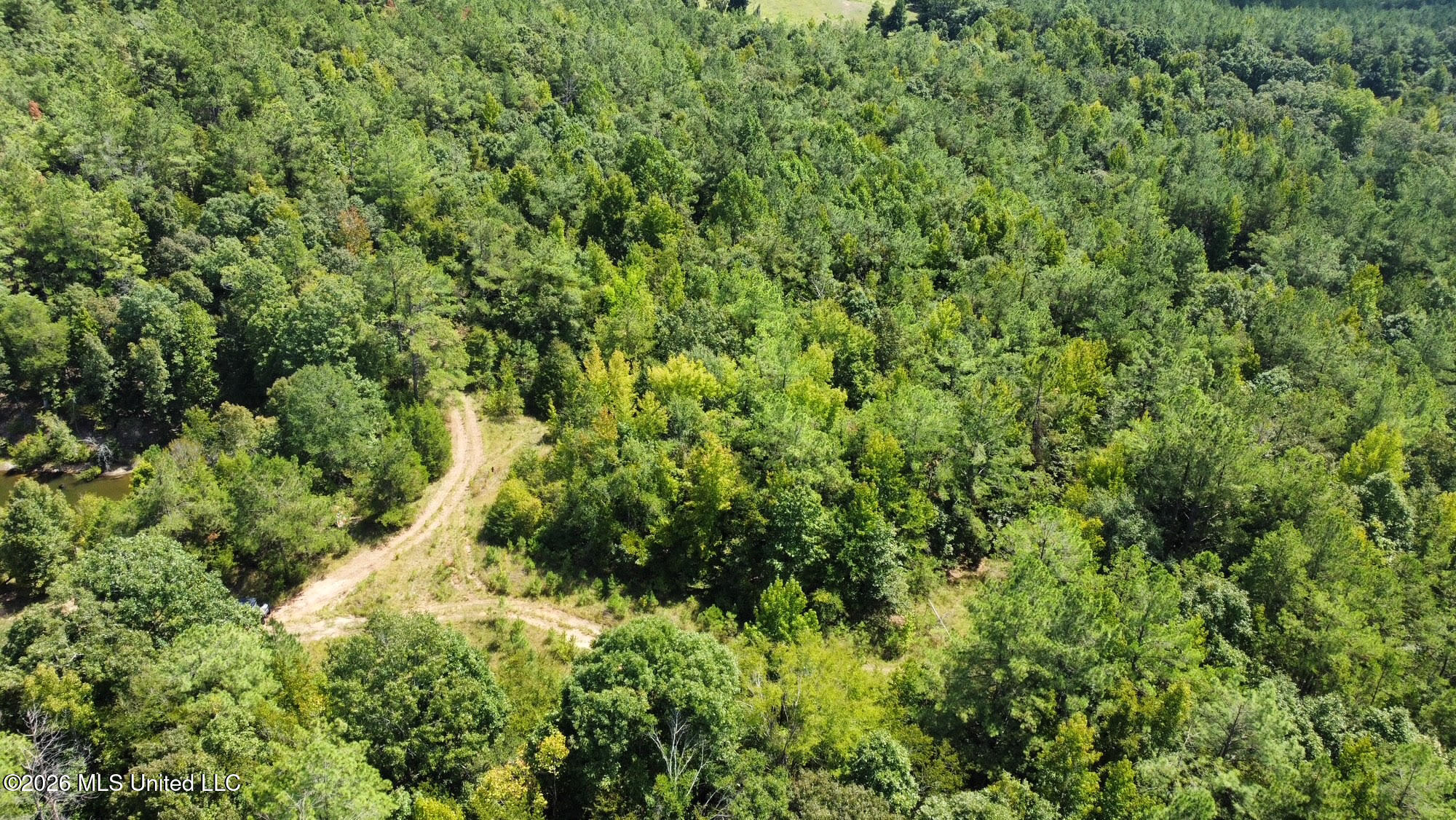 00 Race Track Road Property Photo 27