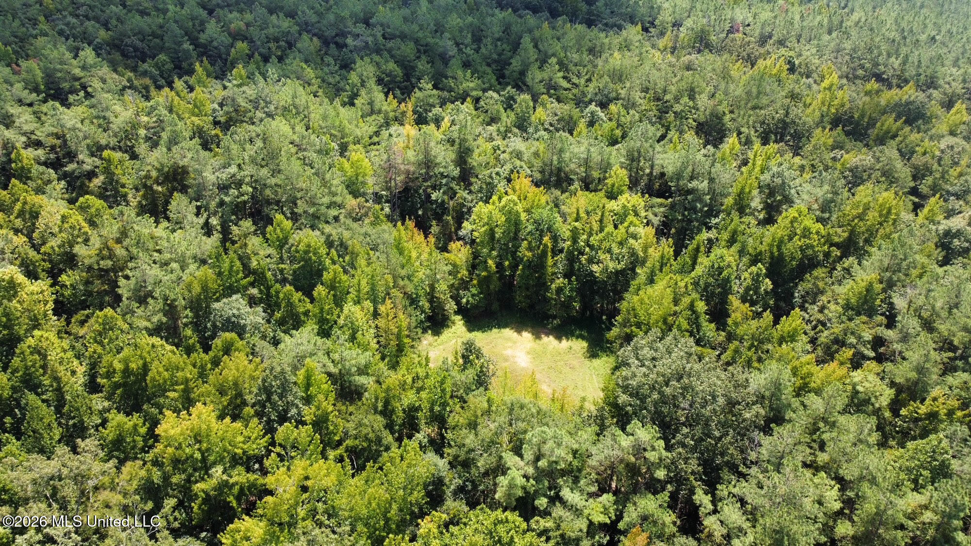00 Race Track Road Property Photo 29