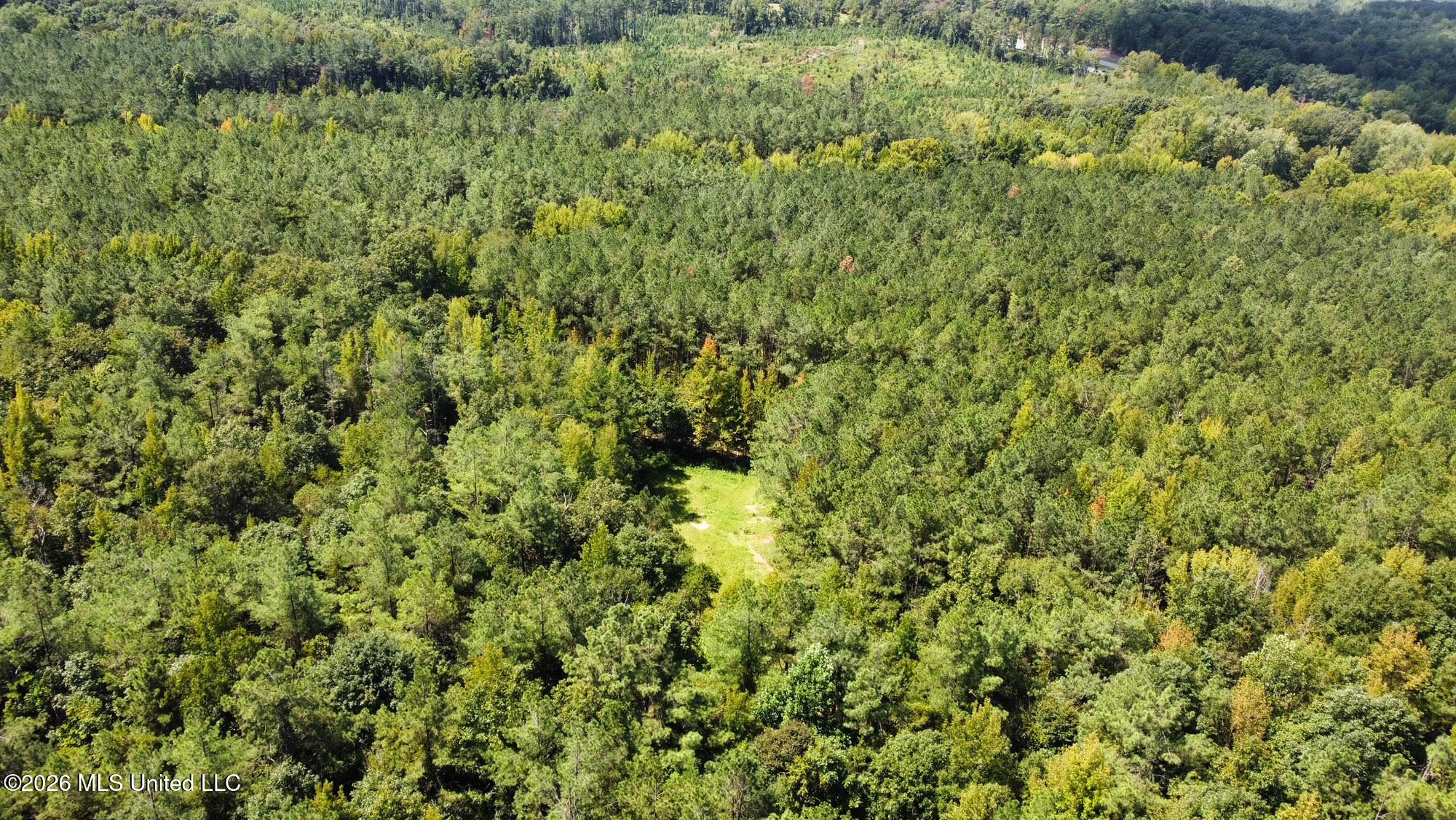 00 Race Track Road Property Photo 30