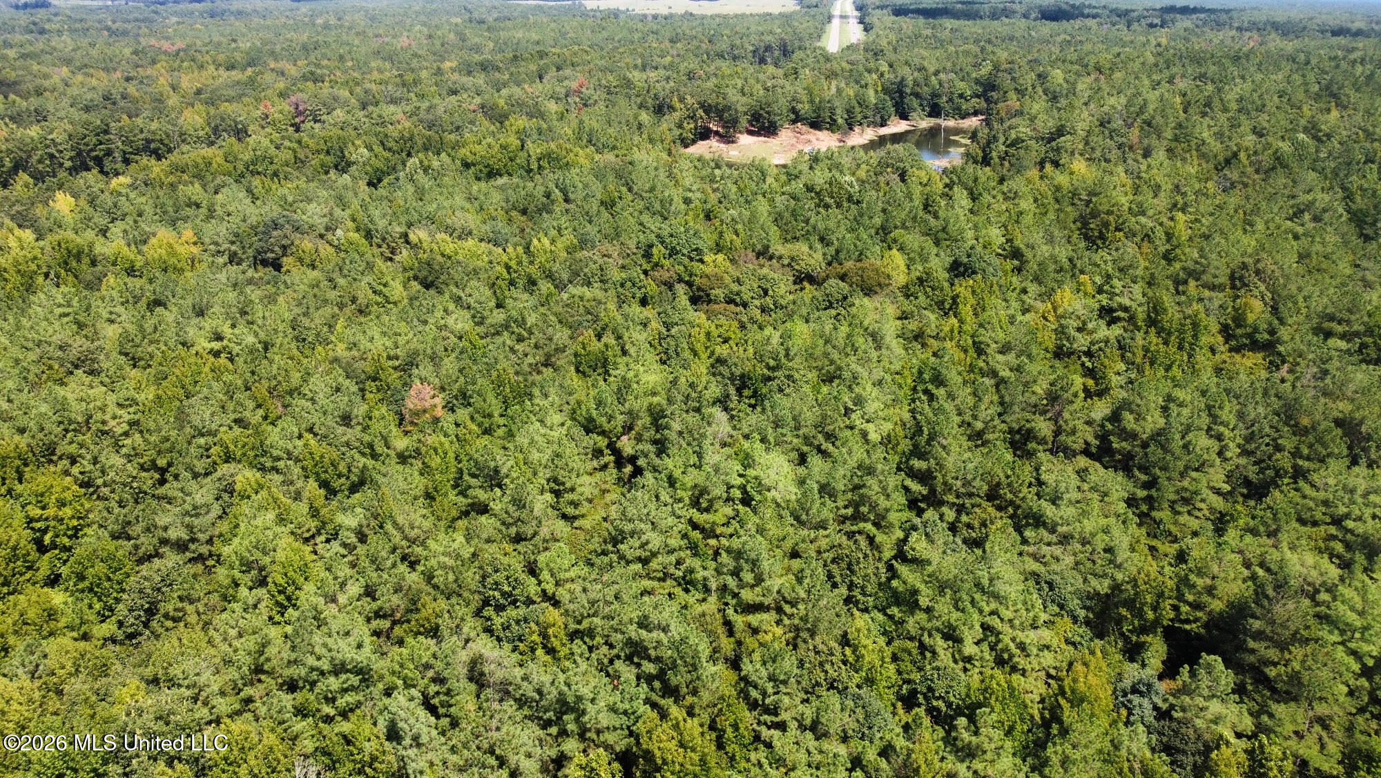 00 Race Track Road Property Photo 31