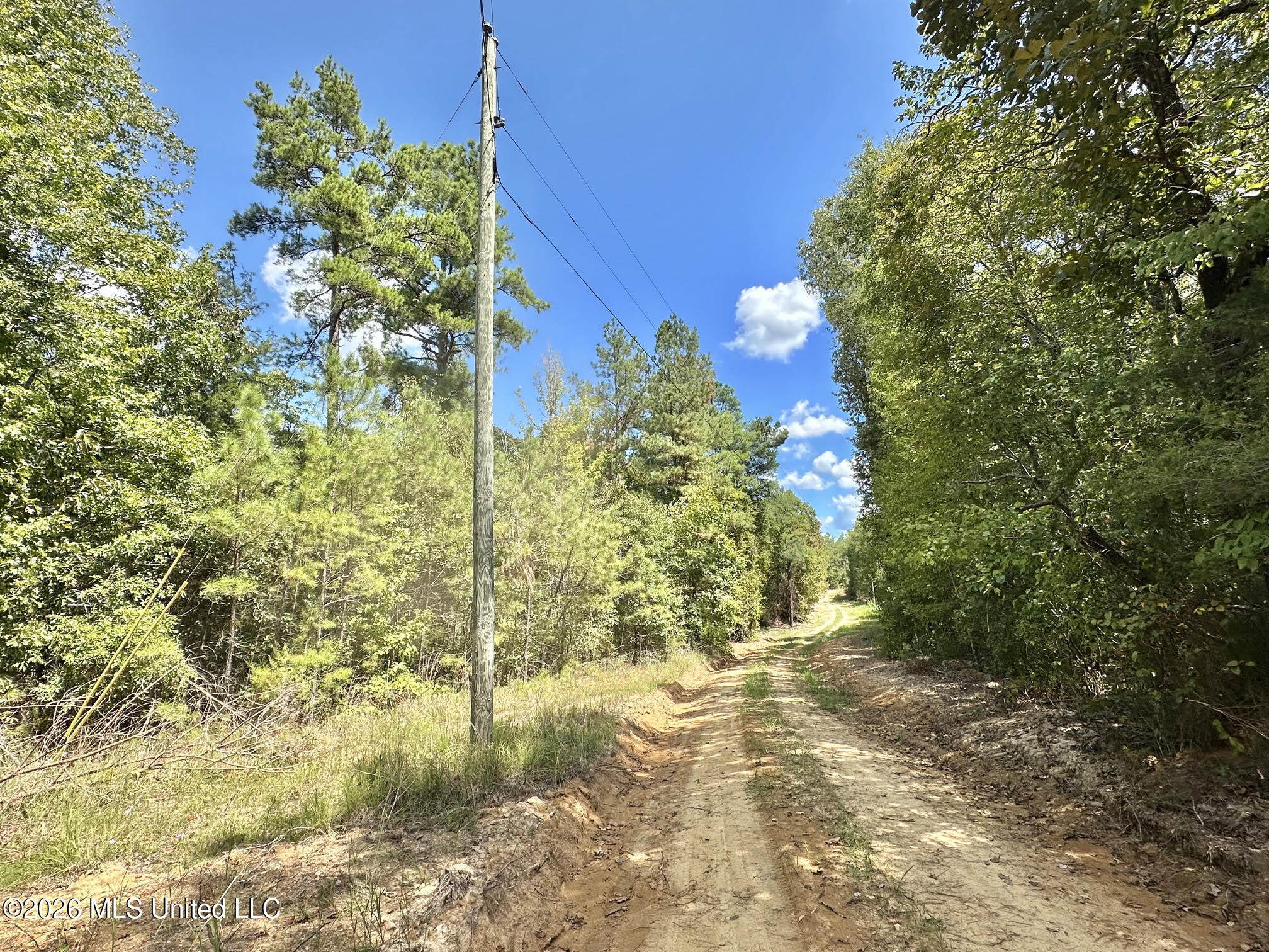 00 Race Track Road Property Photo 36