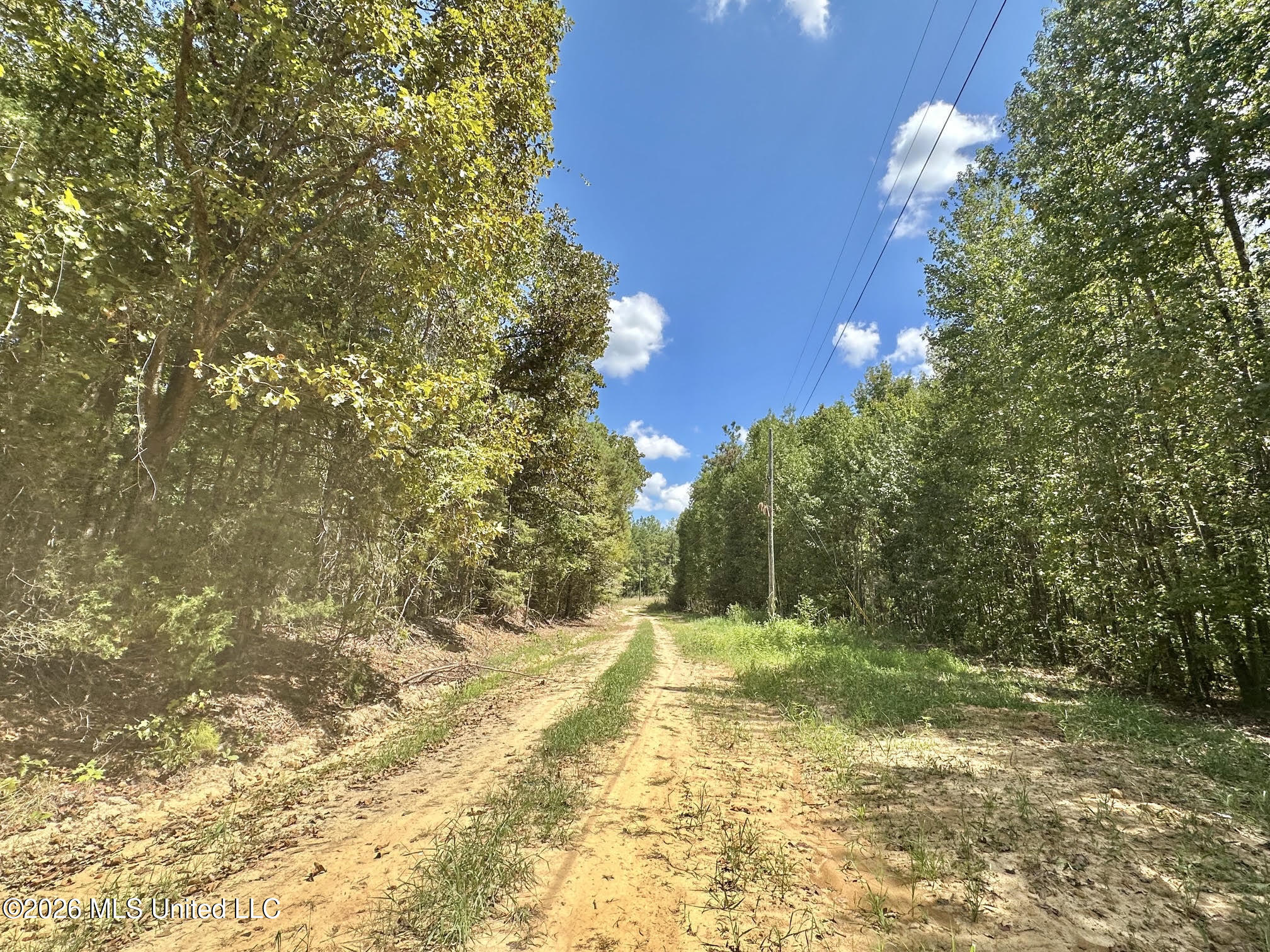 00 Race Track Road Property Photo 37