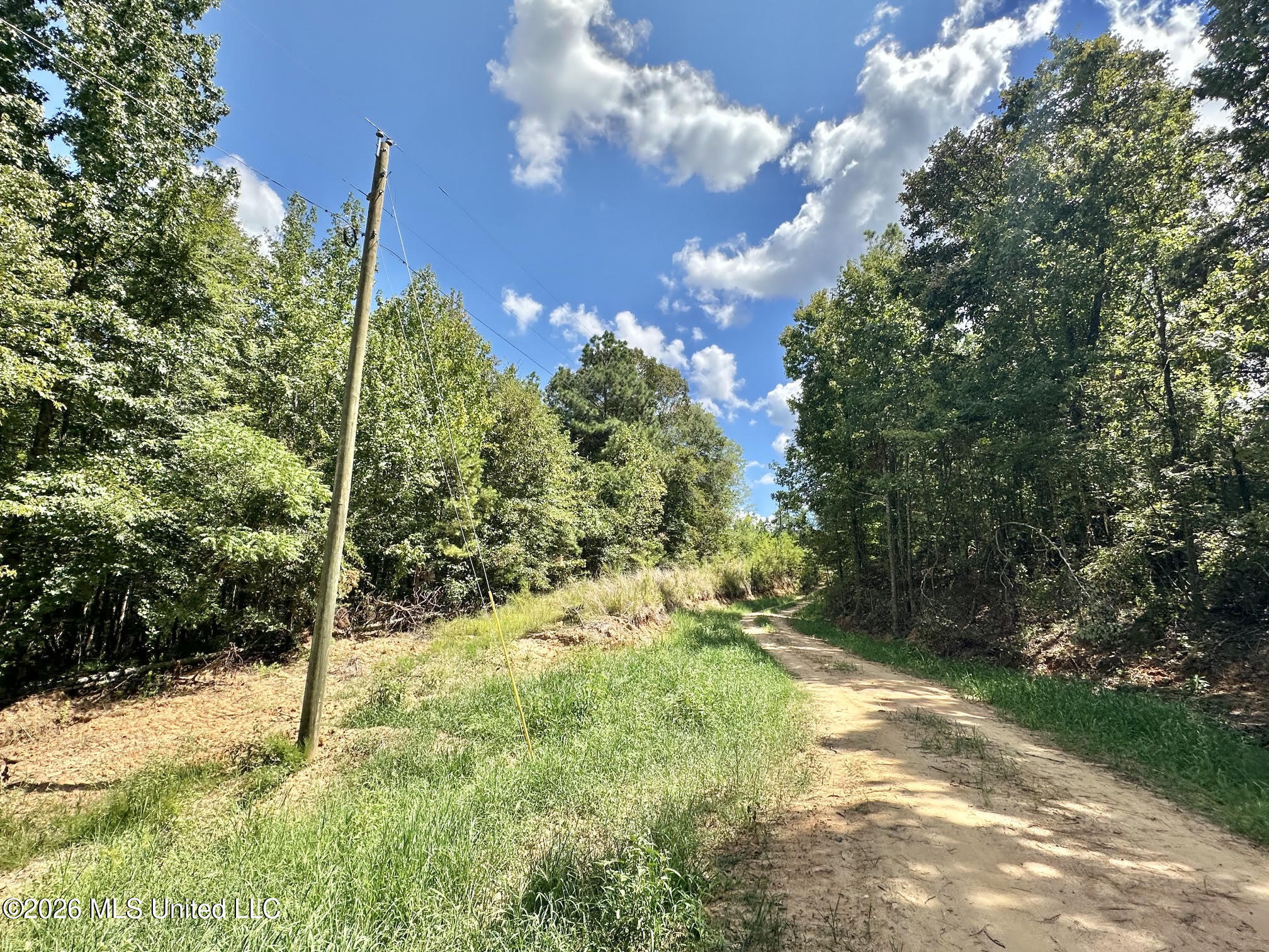 00 Race Track Road Property Photo 38