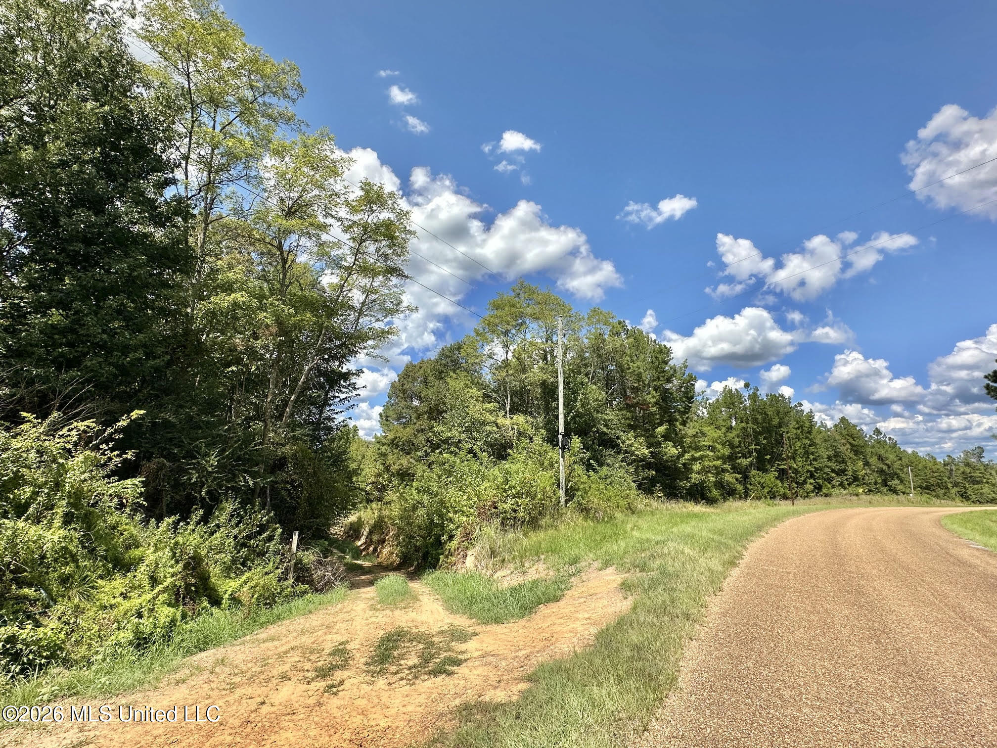 00 Race Track Road Property Photo 39