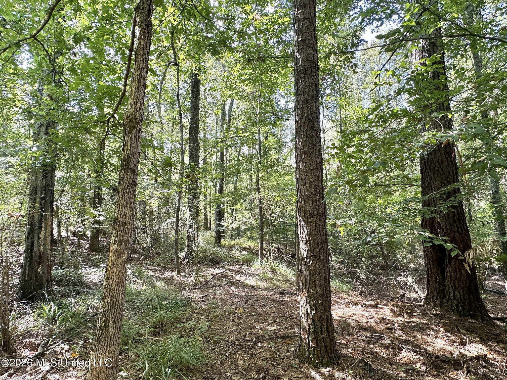 3 Dry Creek Road Property Photo 4