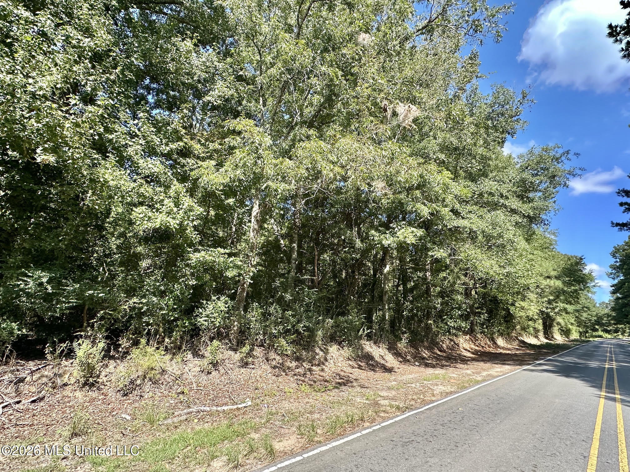3 Dry Creek Road Property Photo 7