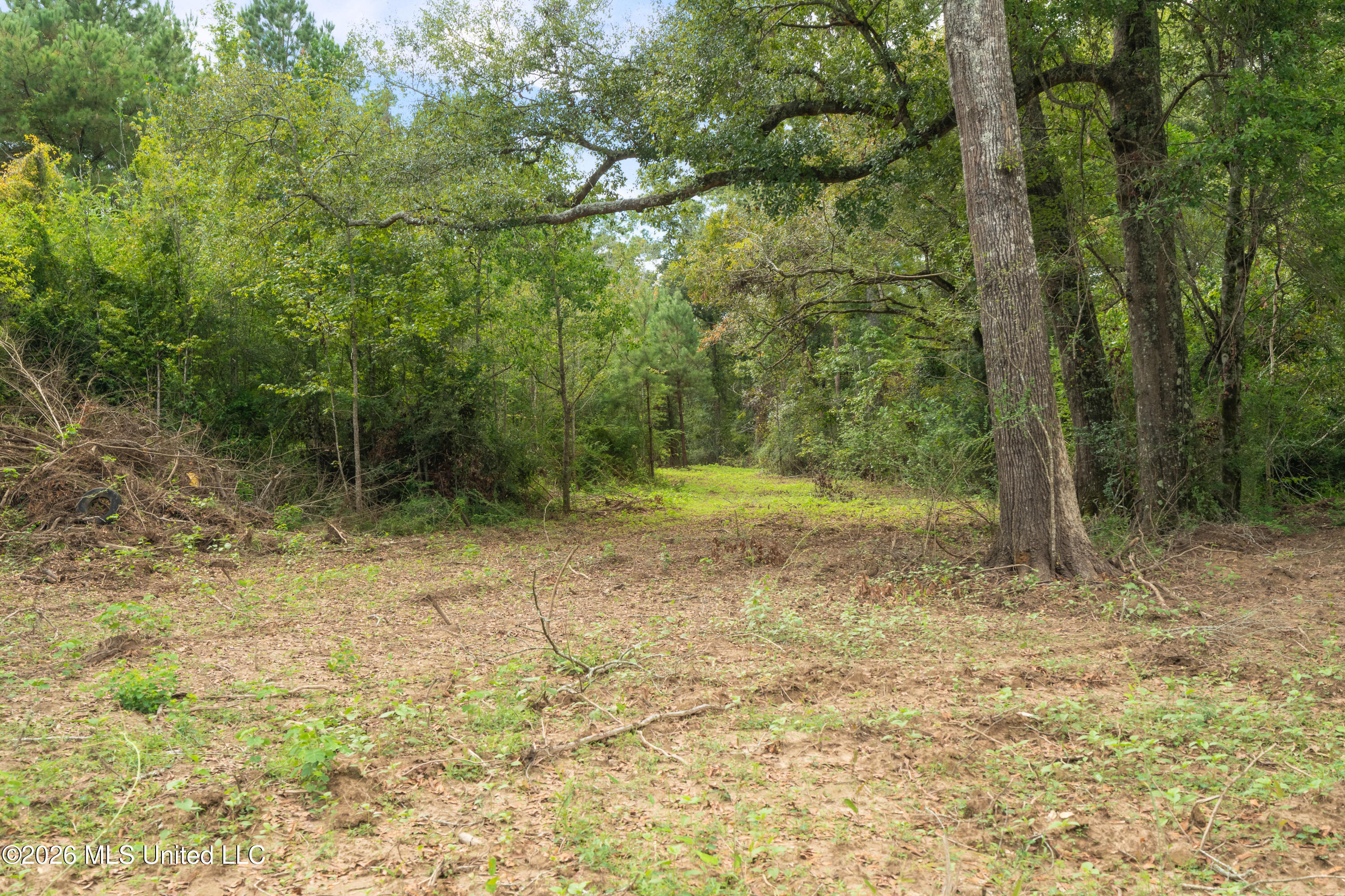 2705 Pilgrims Rest Road Property Photo 3