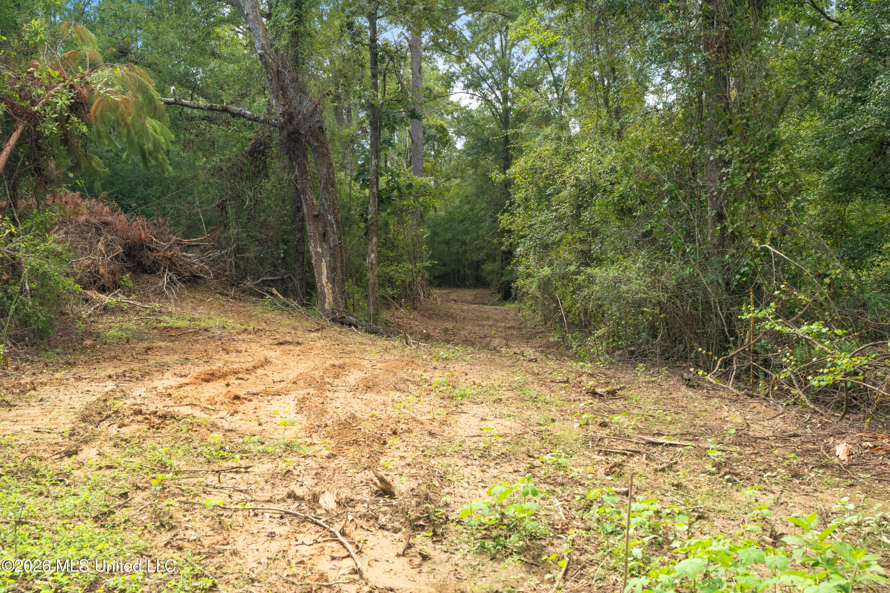 2705 Pilgrims Rest Road Property Photo 4