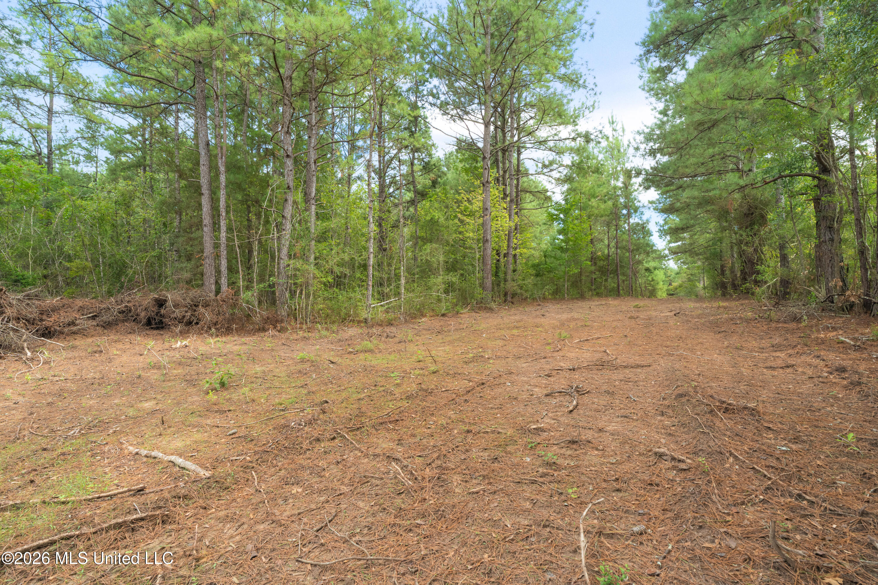 2705 Pilgrims Rest Road Property Photo 5