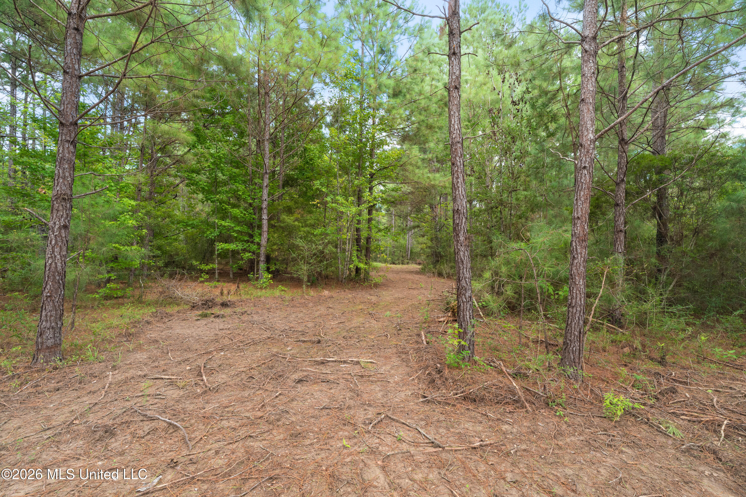 2705 Pilgrims Rest Road Property Photo 6