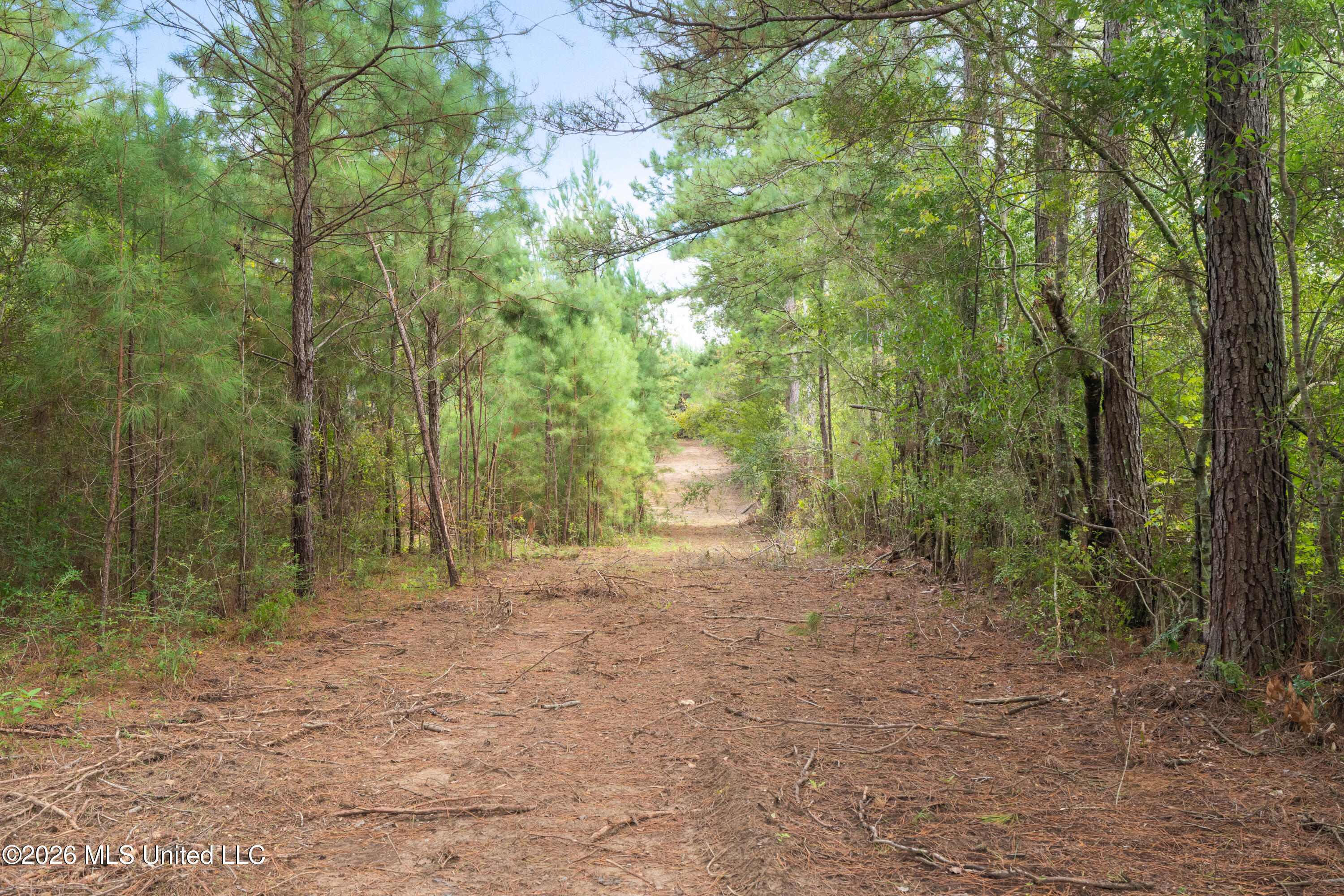 2705 Pilgrims Rest Road Property Photo 7