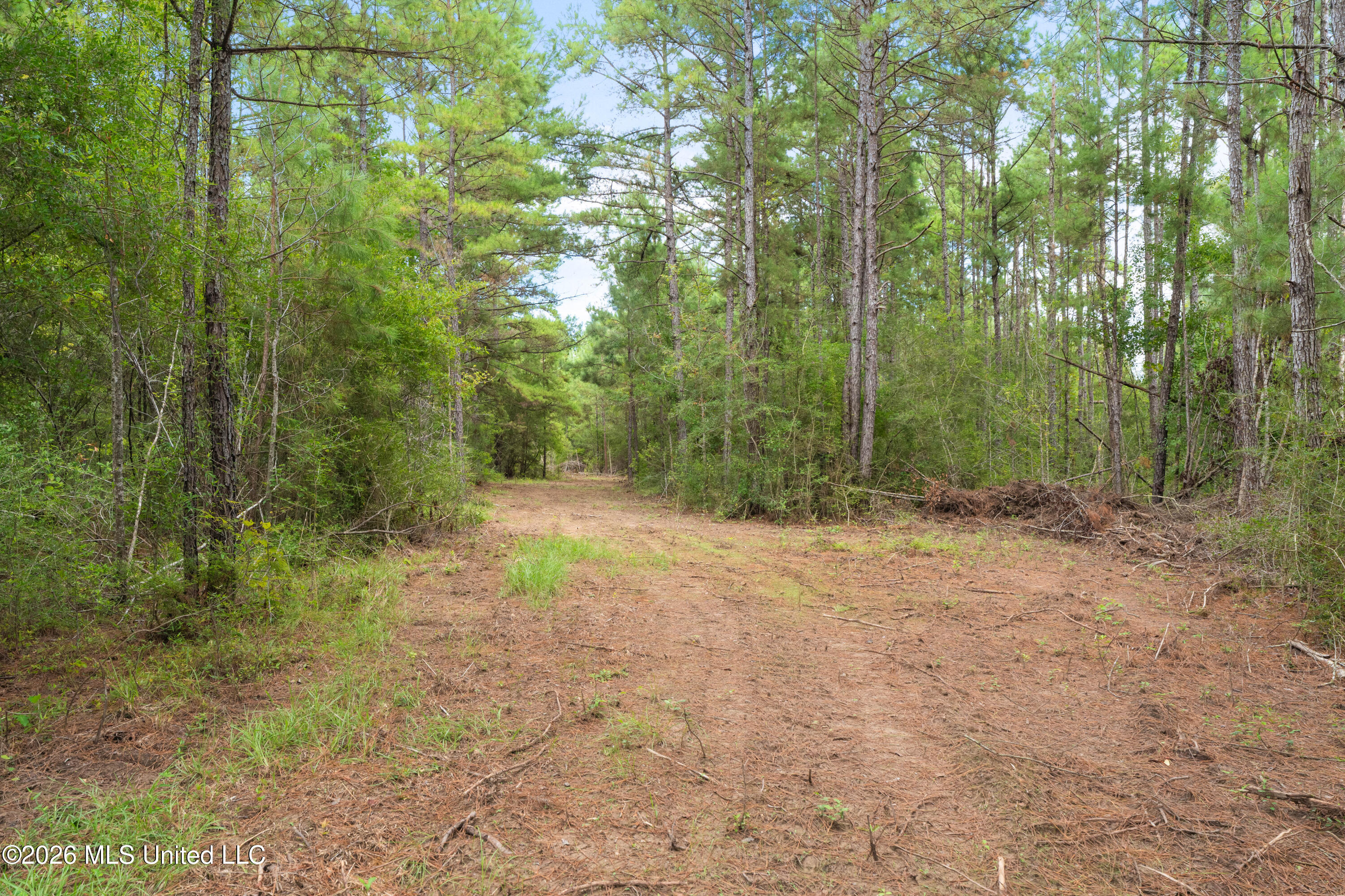 2705 Pilgrims Rest Road Property Photo 8