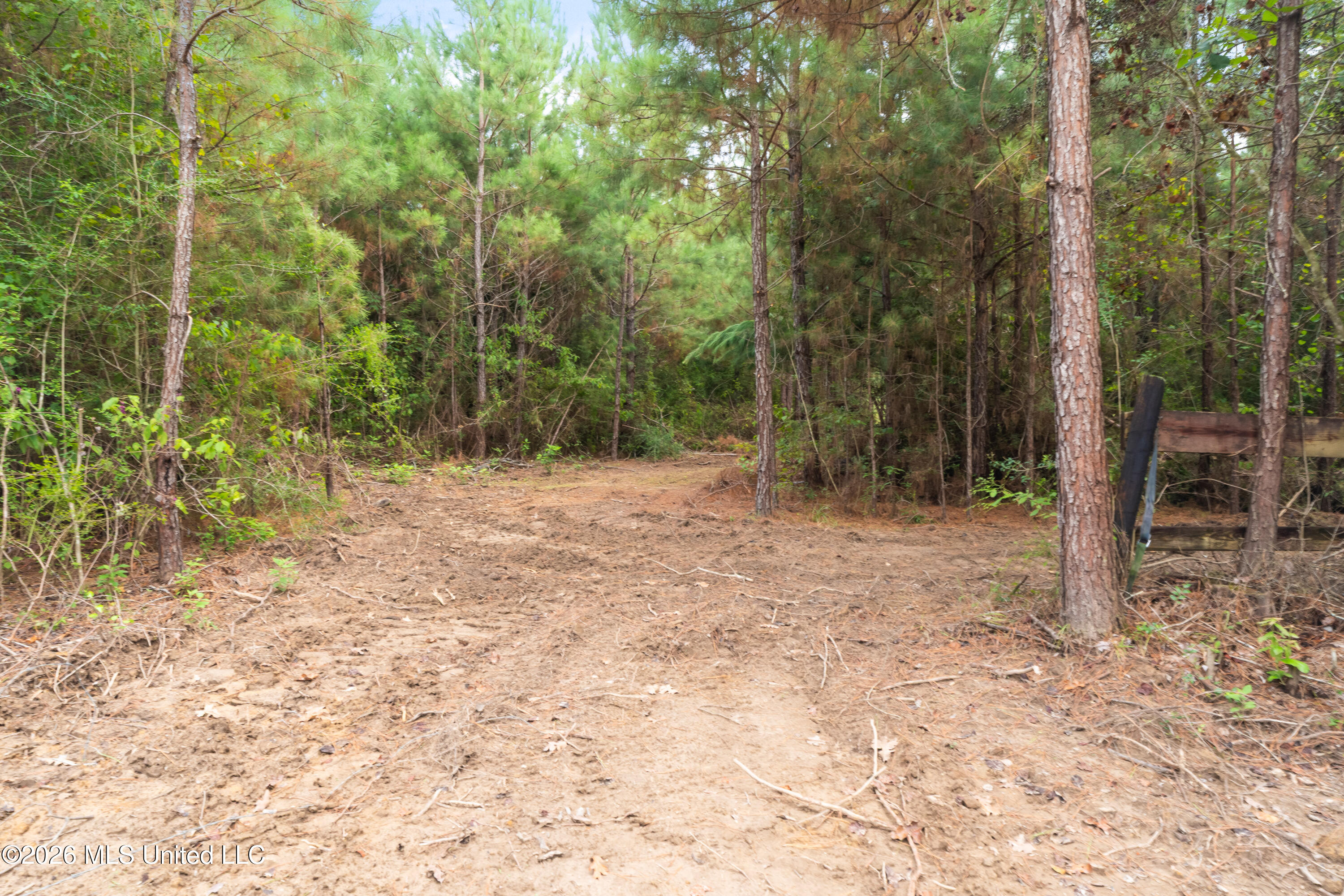 2705 Pilgrims Rest Road Property Photo 22