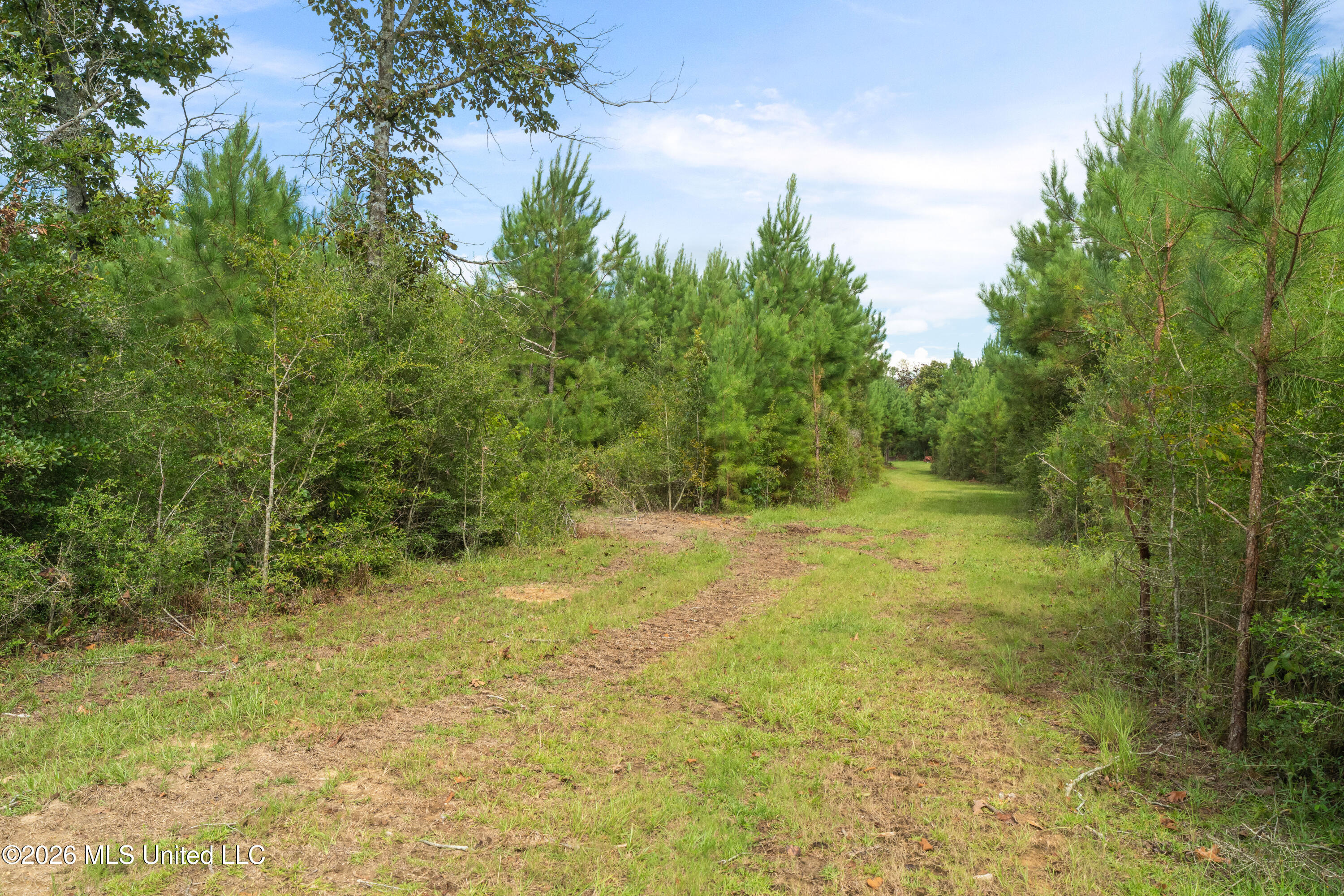 2705 Pilgrims Rest Road Property Photo 27