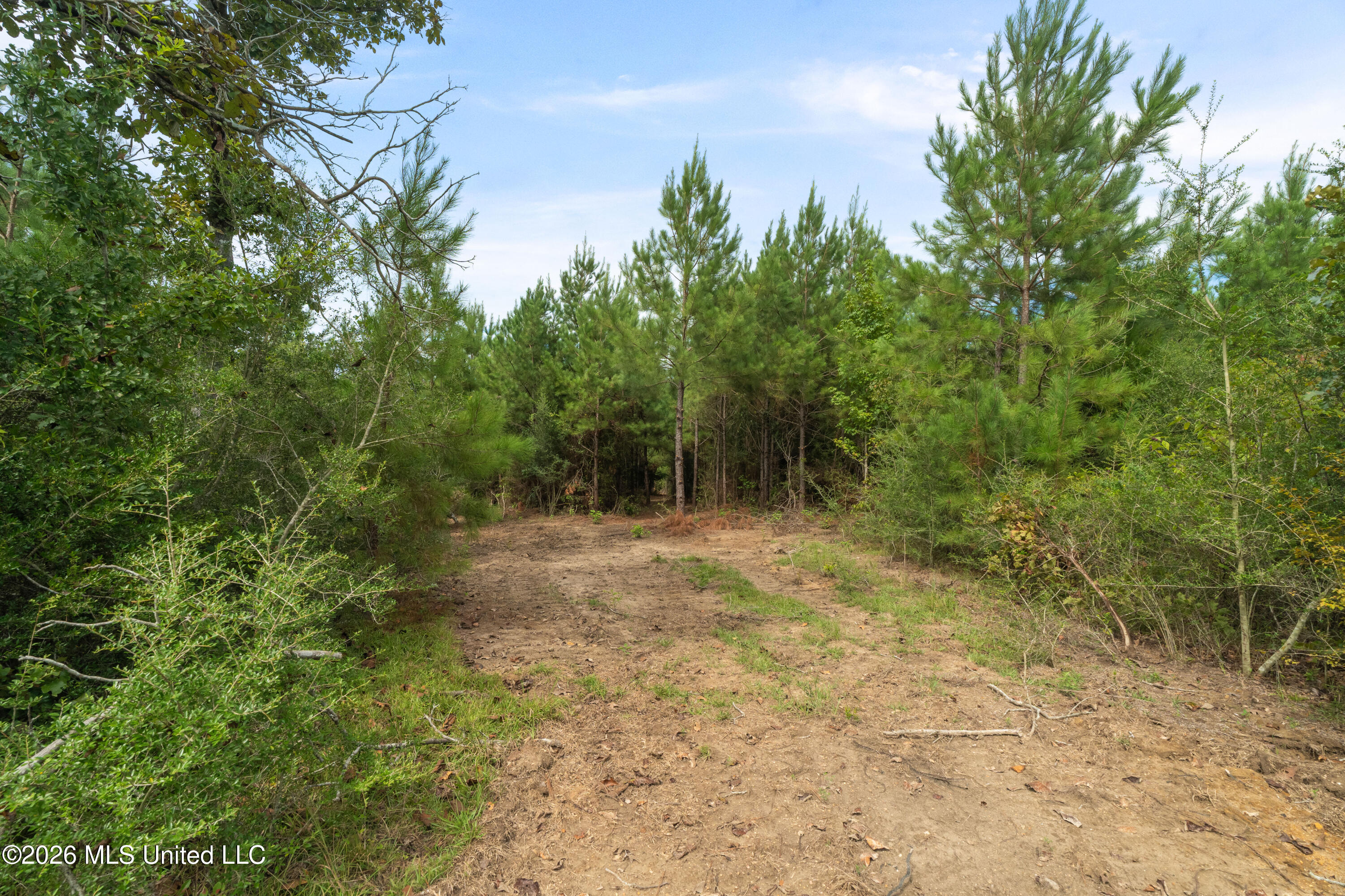 2705 Pilgrims Rest Road Property Photo 28