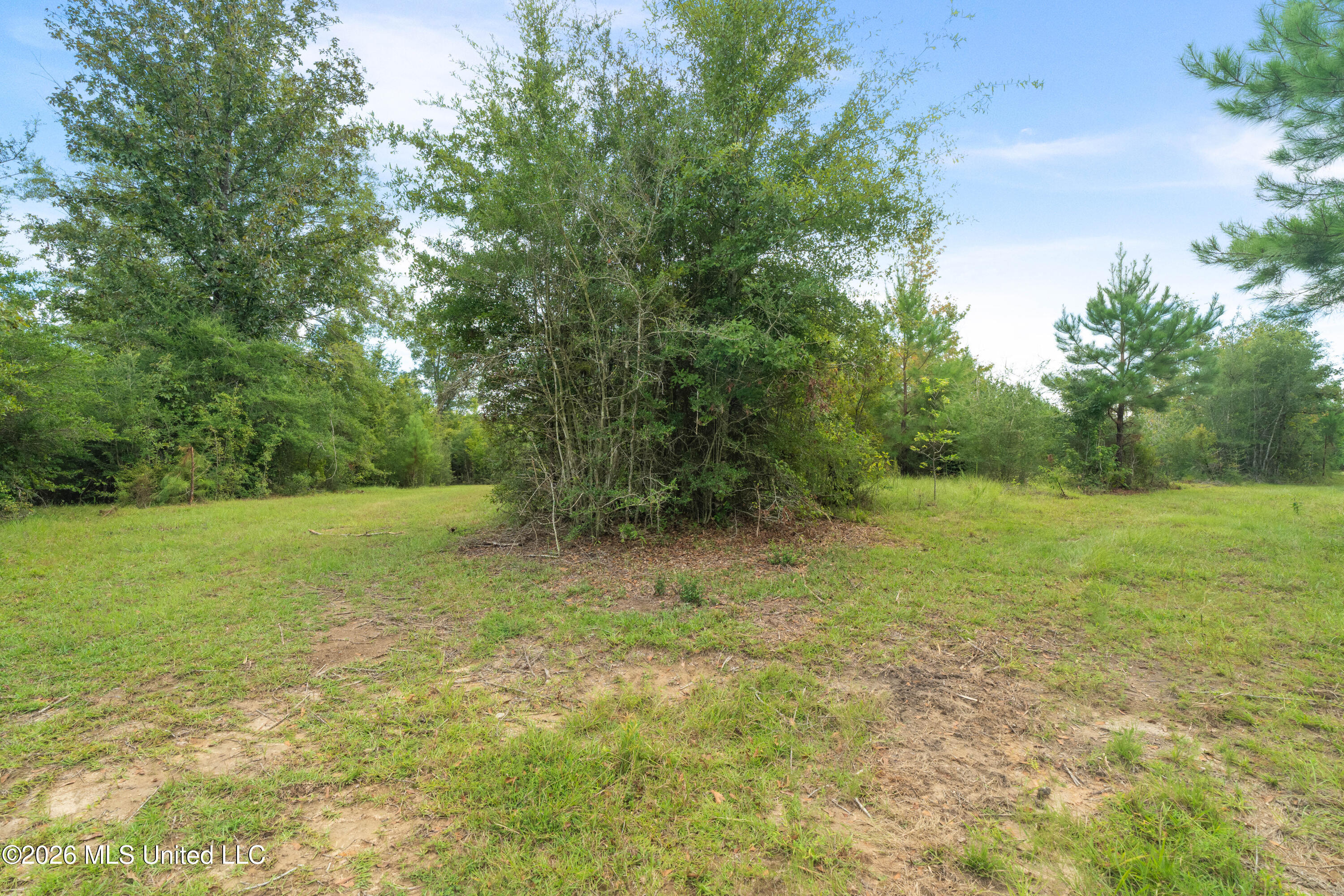 2705 Pilgrims Rest Road Property Photo 47