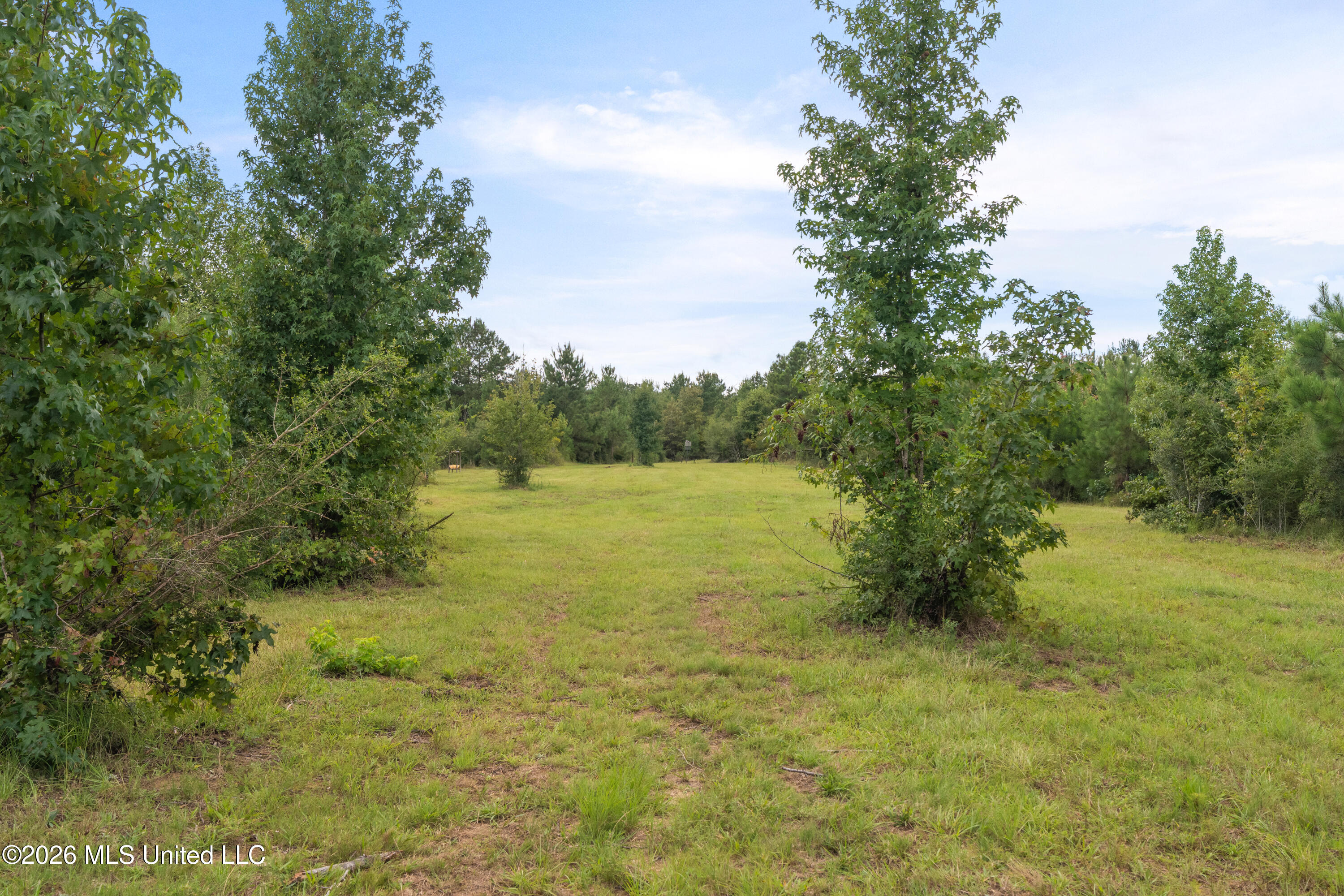 2705 Pilgrims Rest Road Property Photo 49