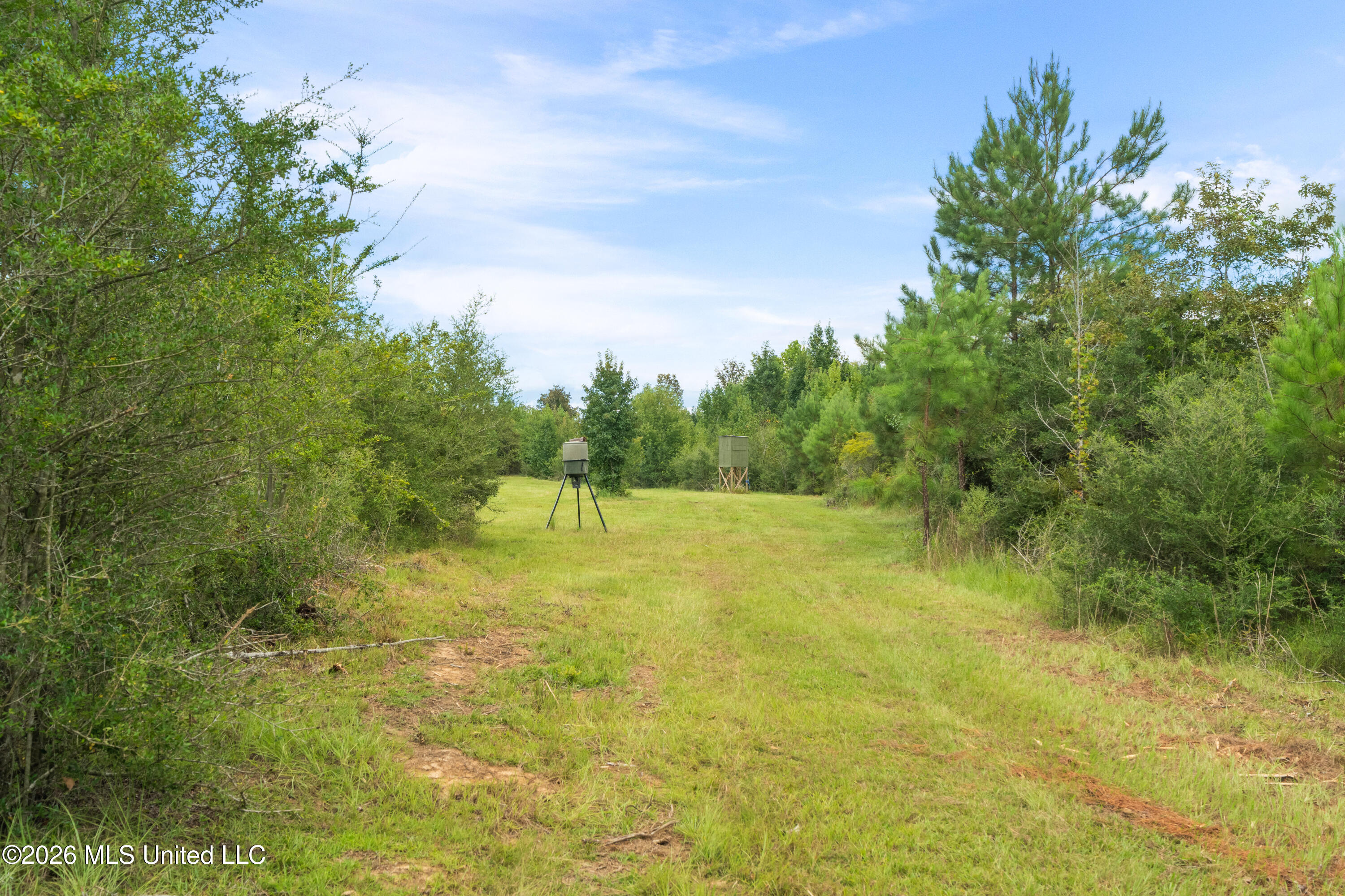 2705 Pilgrims Rest Road Property Photo 52