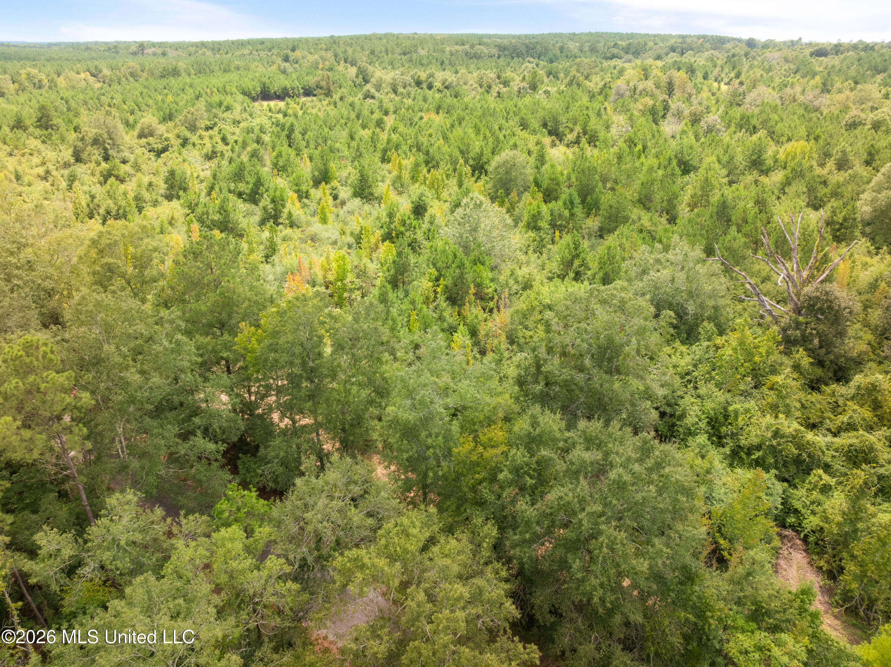 2705 Pilgrims Rest Road Property Photo 57