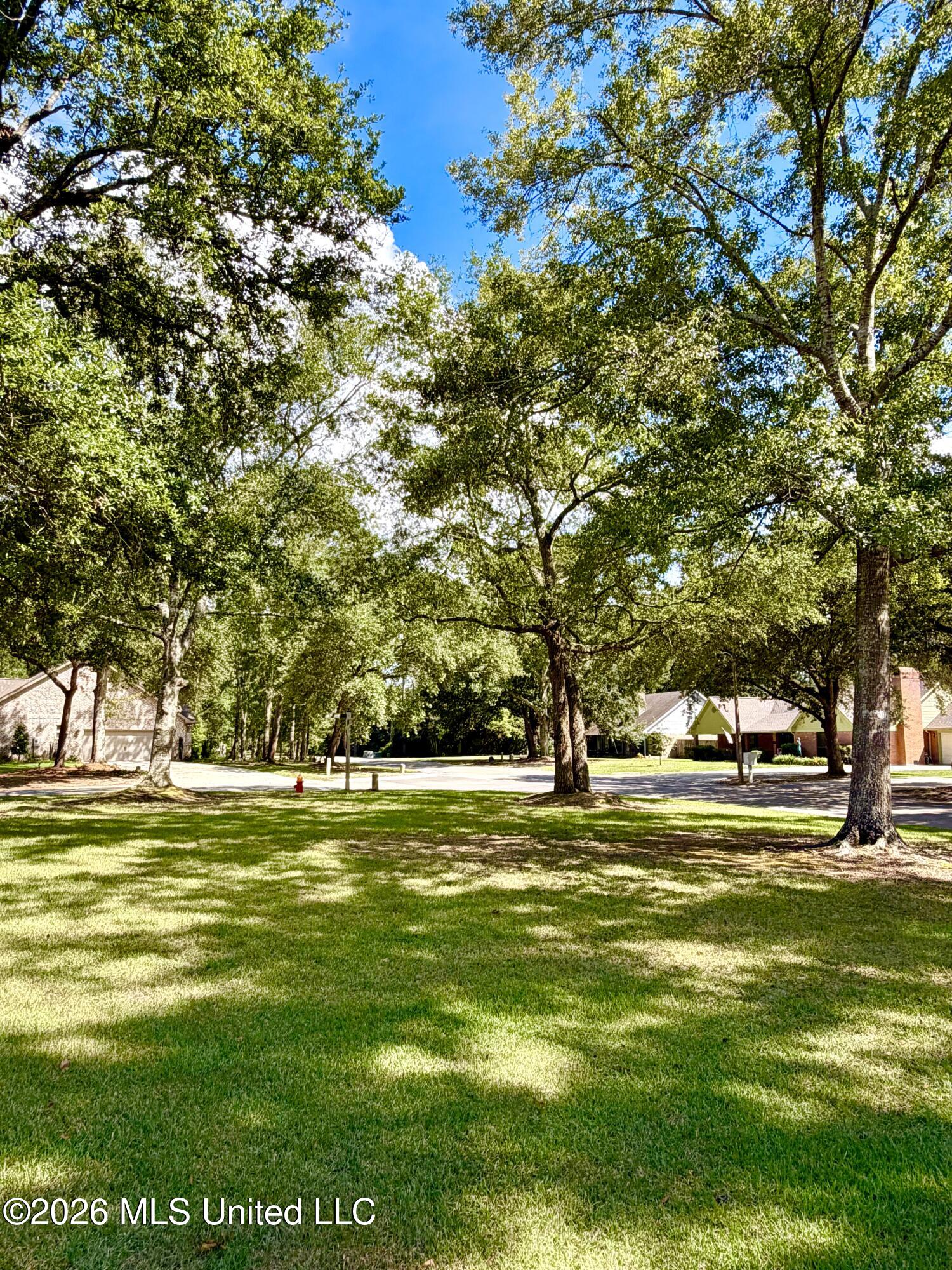 1006 Woods Road Property Photo 41