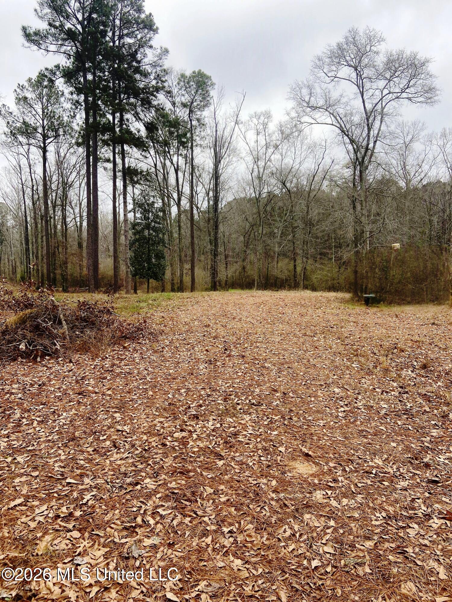 Ne Hwy 503 Property Photo 6