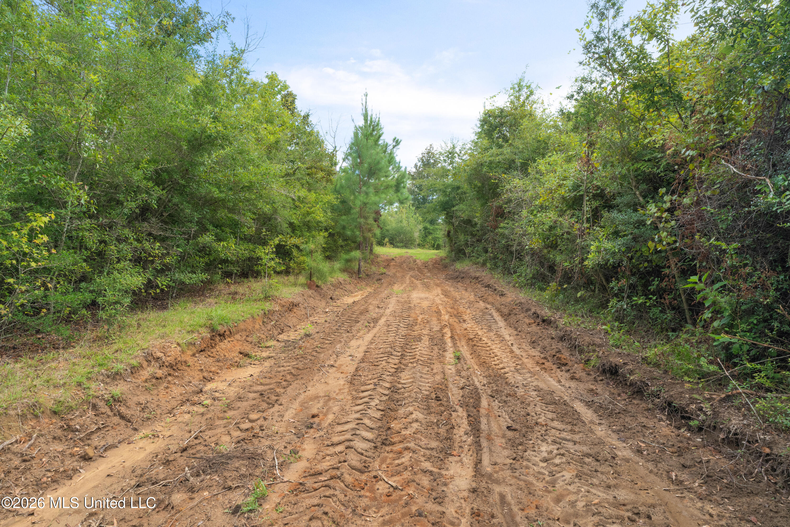 2705 Pilgrims Rest Road Property Photo 3