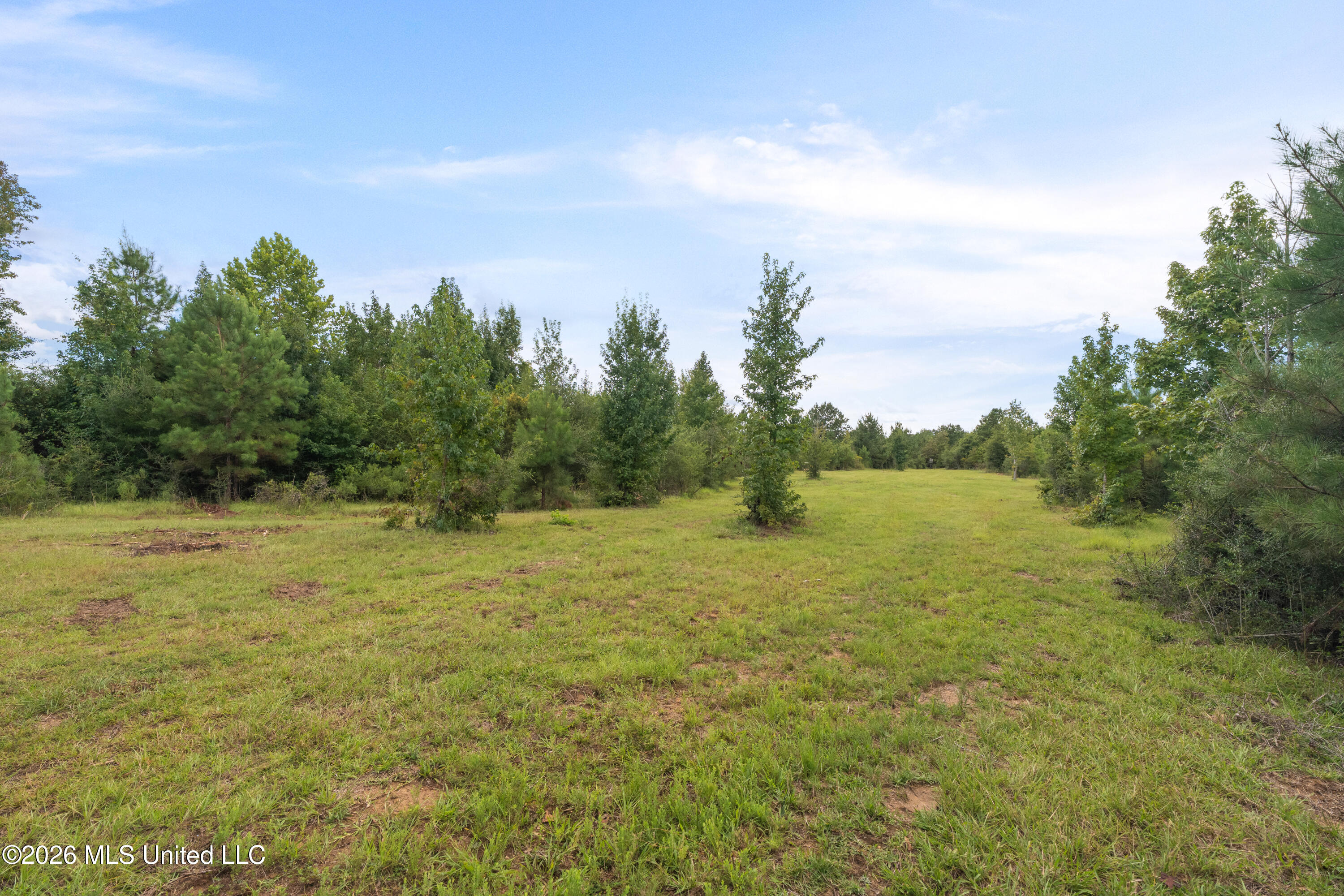 2705 Pilgrims Rest Road Property Photo 5
