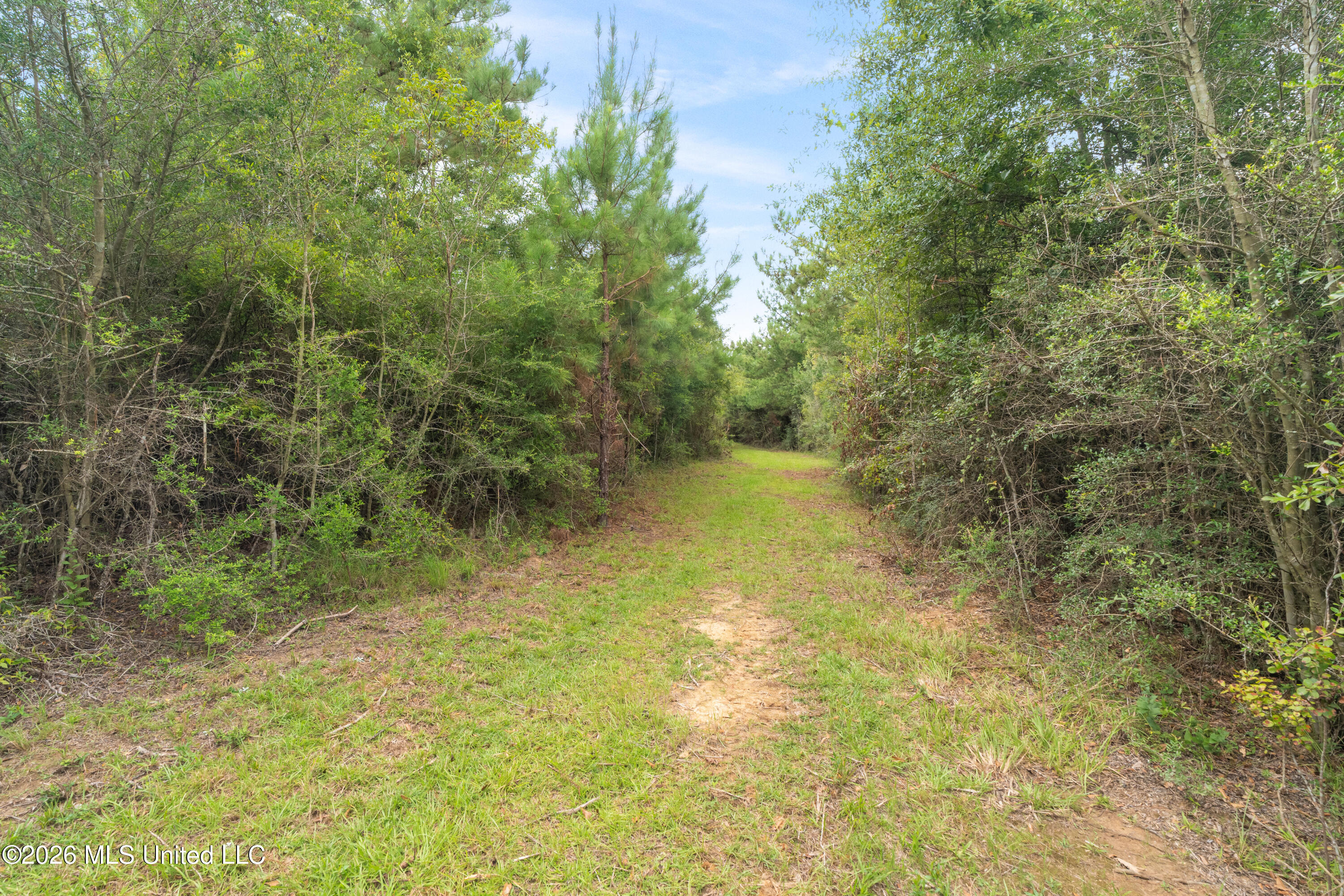 2705 Pilgrims Rest Road Property Photo 8