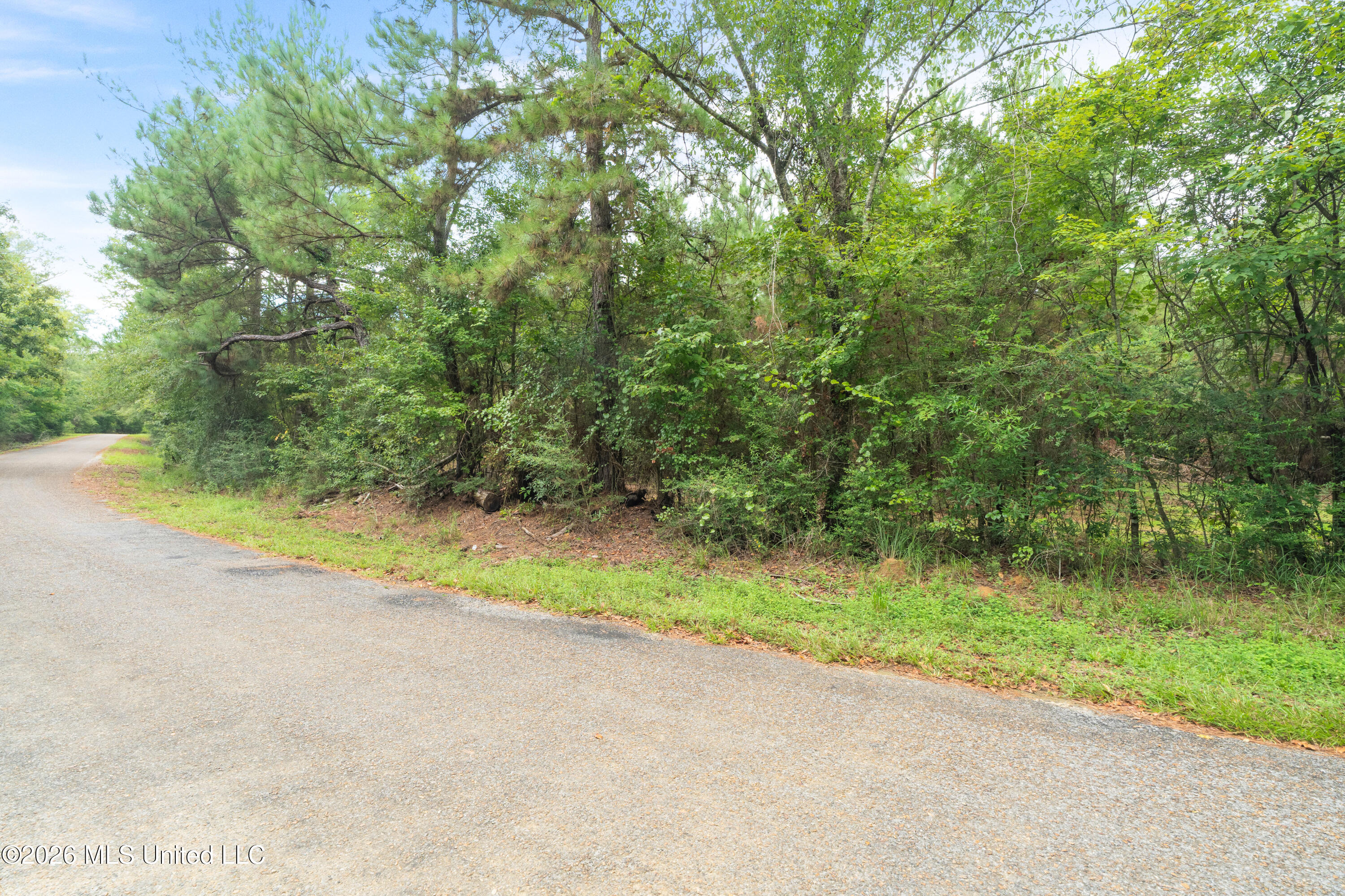 2705 Pilgrims Rest Road Property Photo 11