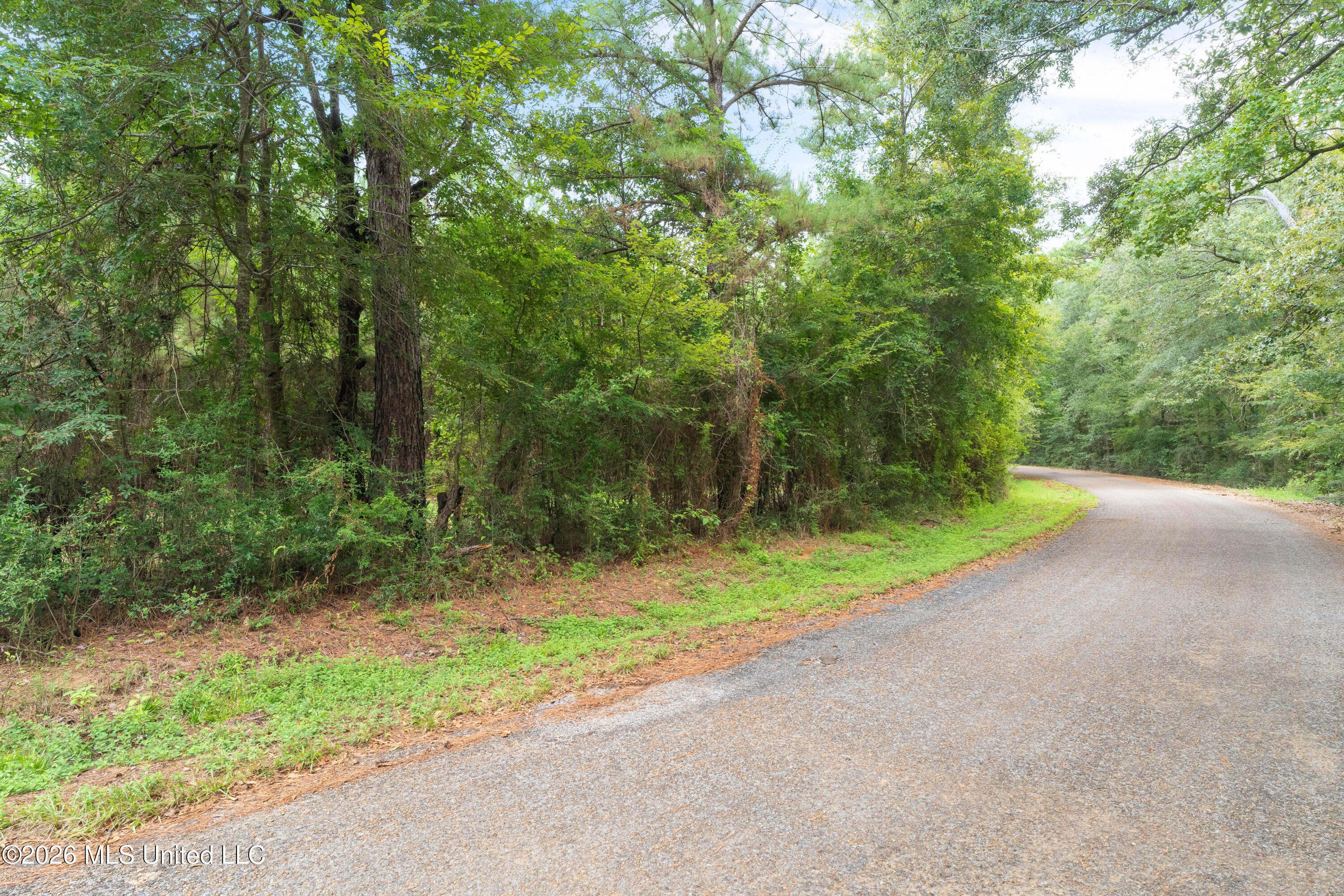 2705 Pilgrims Rest Road Property Photo 12
