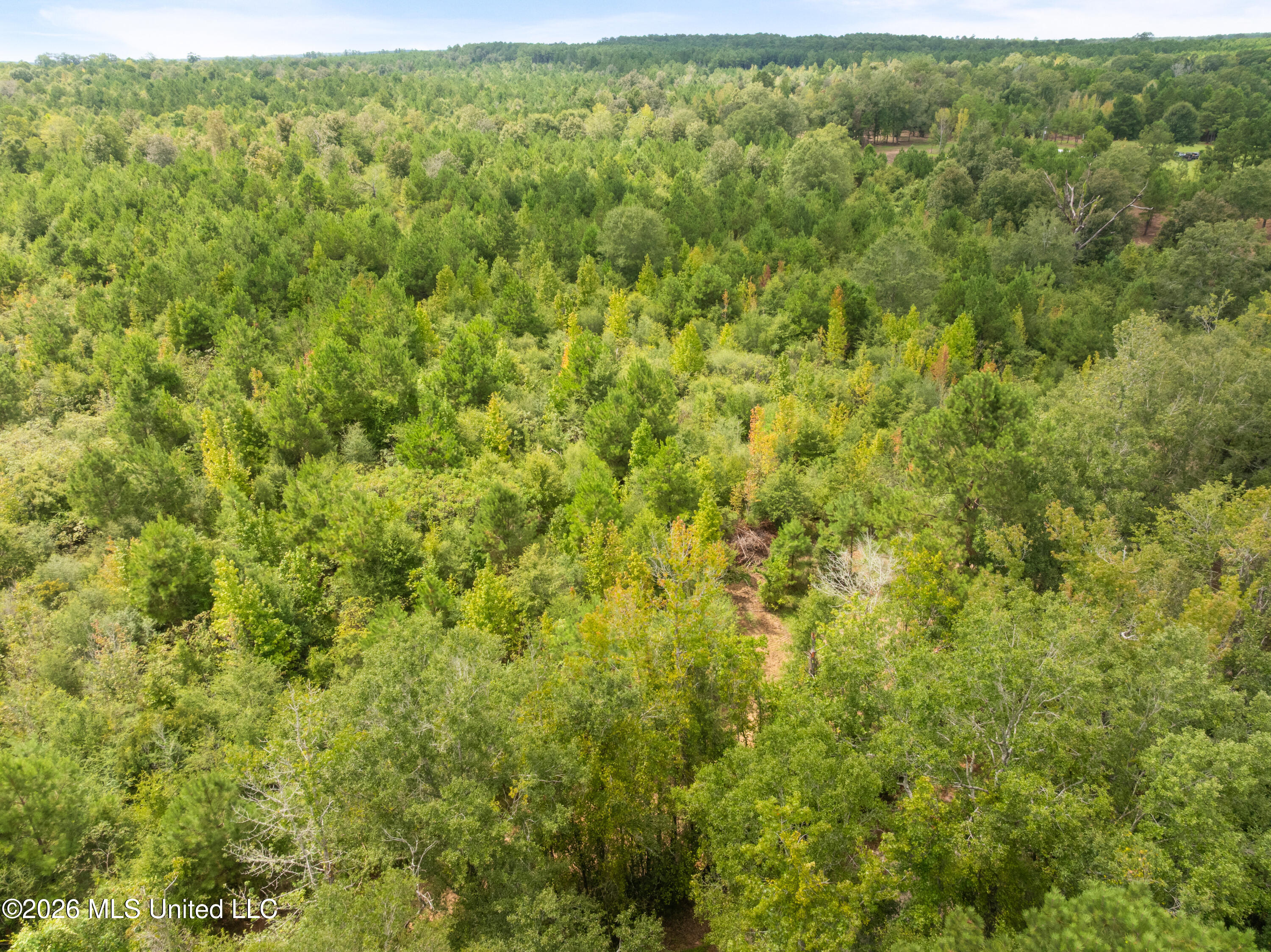 2705 Pilgrims Rest Road Property Photo 15