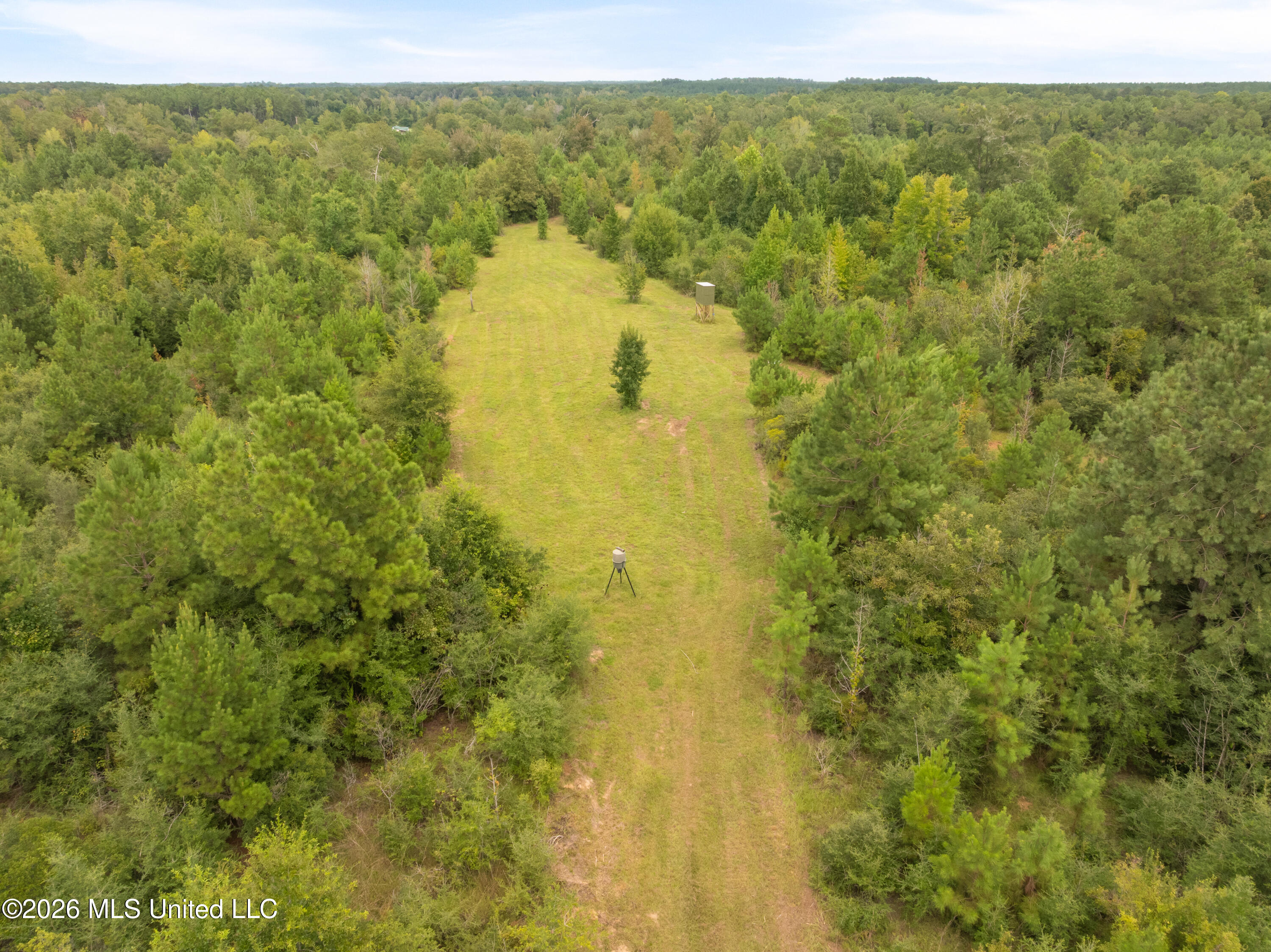 2705 Pilgrims Rest Road Property Photo 18
