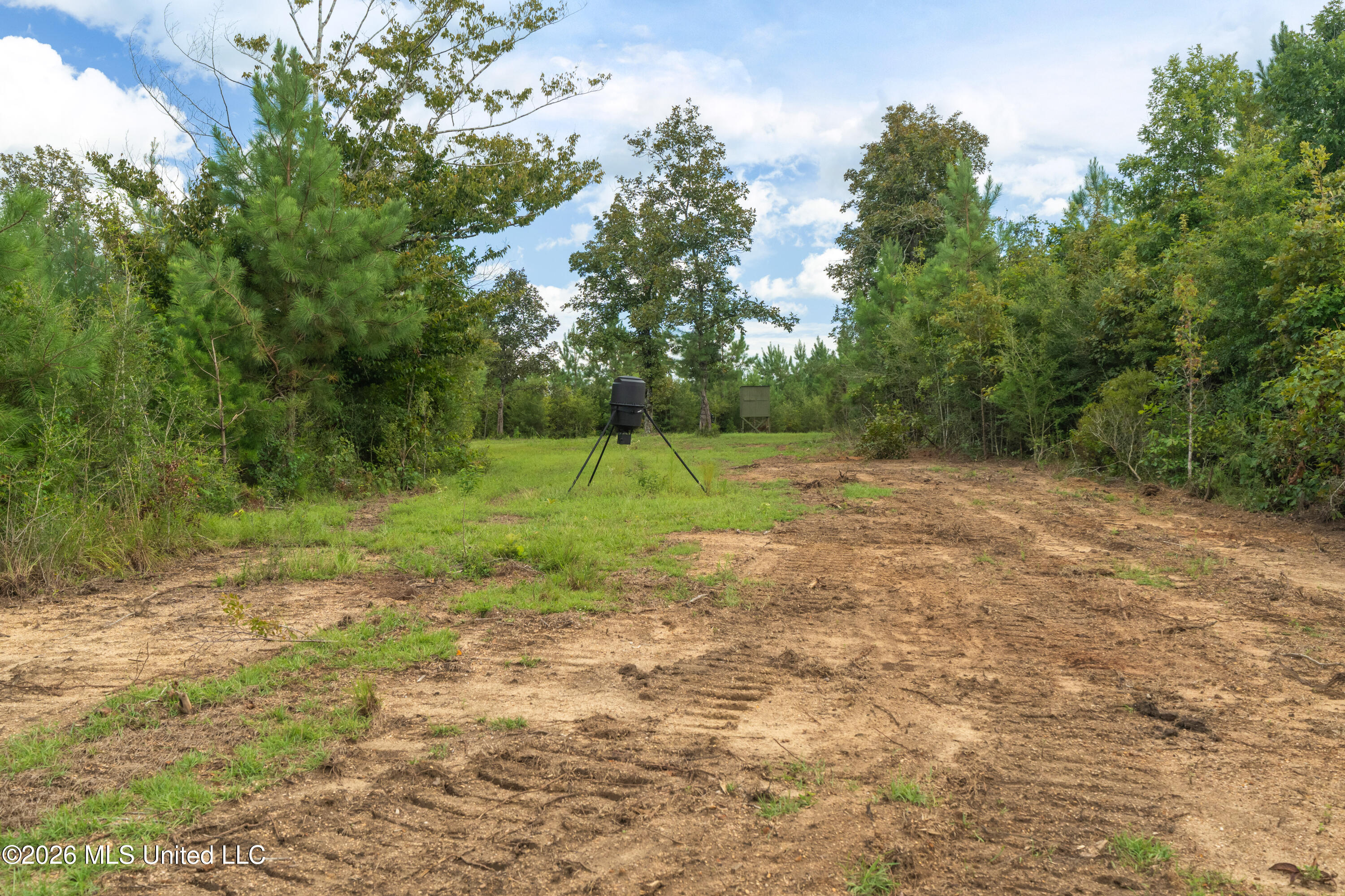 2705 Pilgrims Rest Road Property Photo 6
