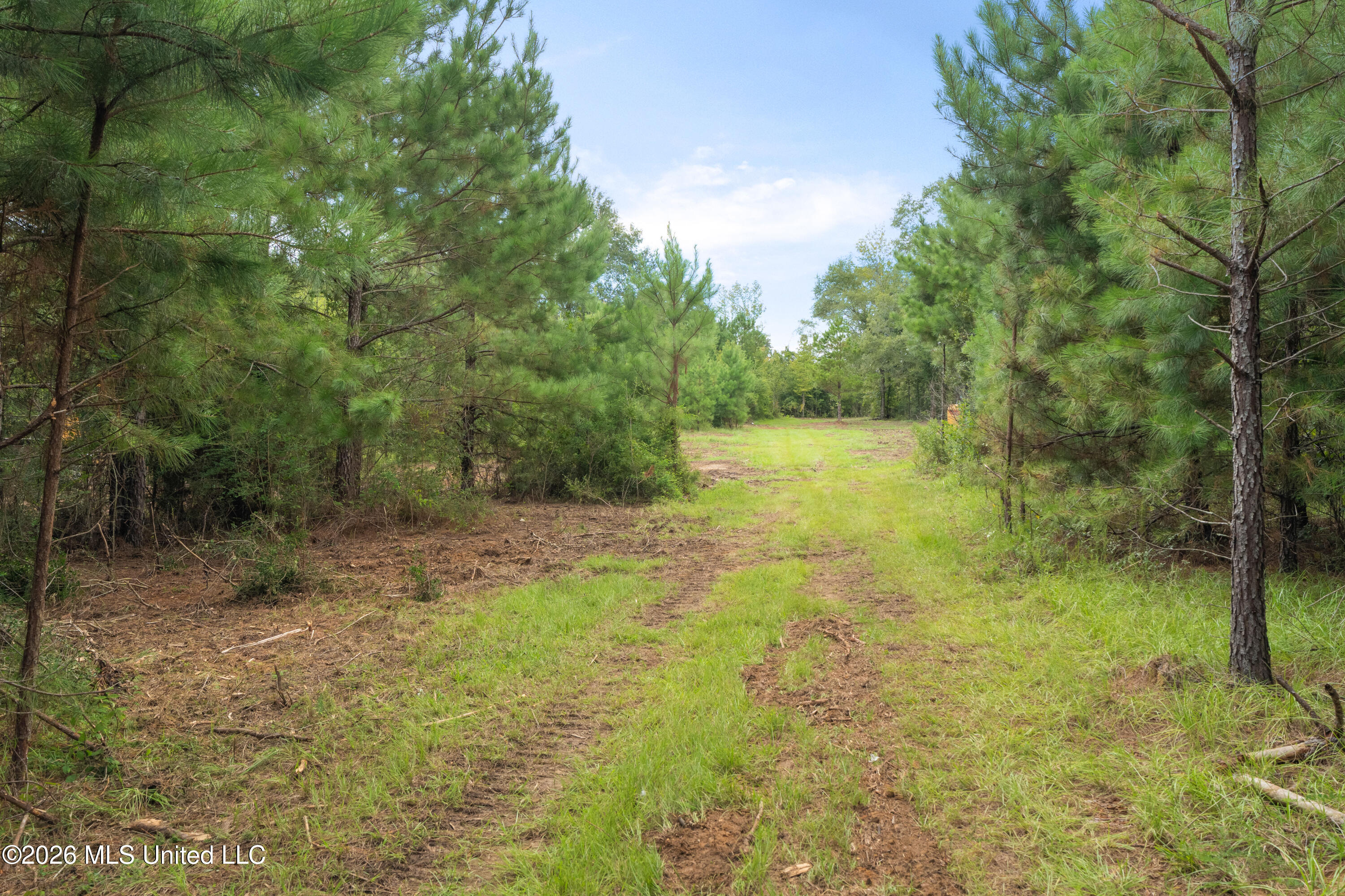2705 Pilgrims Rest Road Property Photo 14