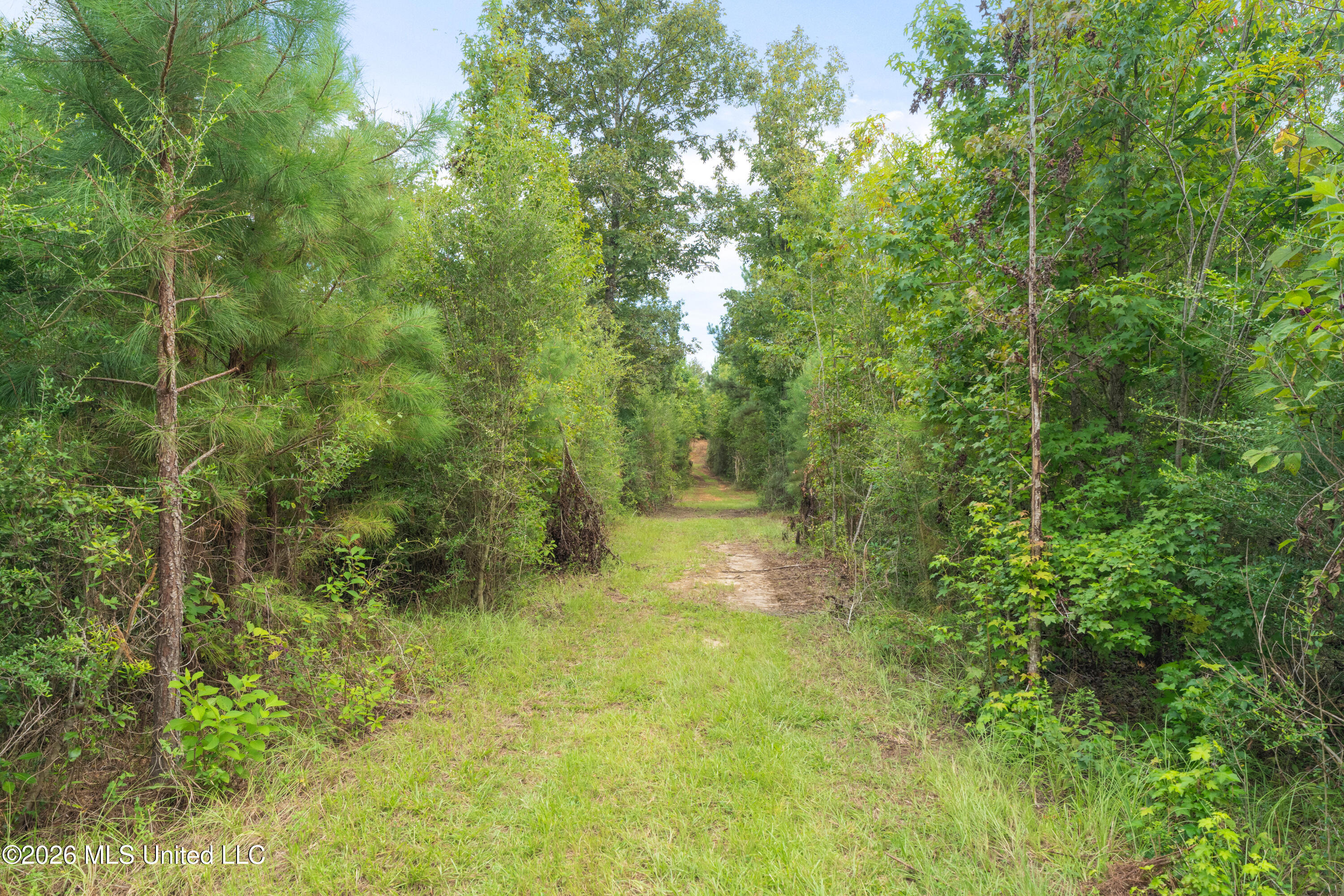 2705 Pilgrims Rest Road Property Photo 15