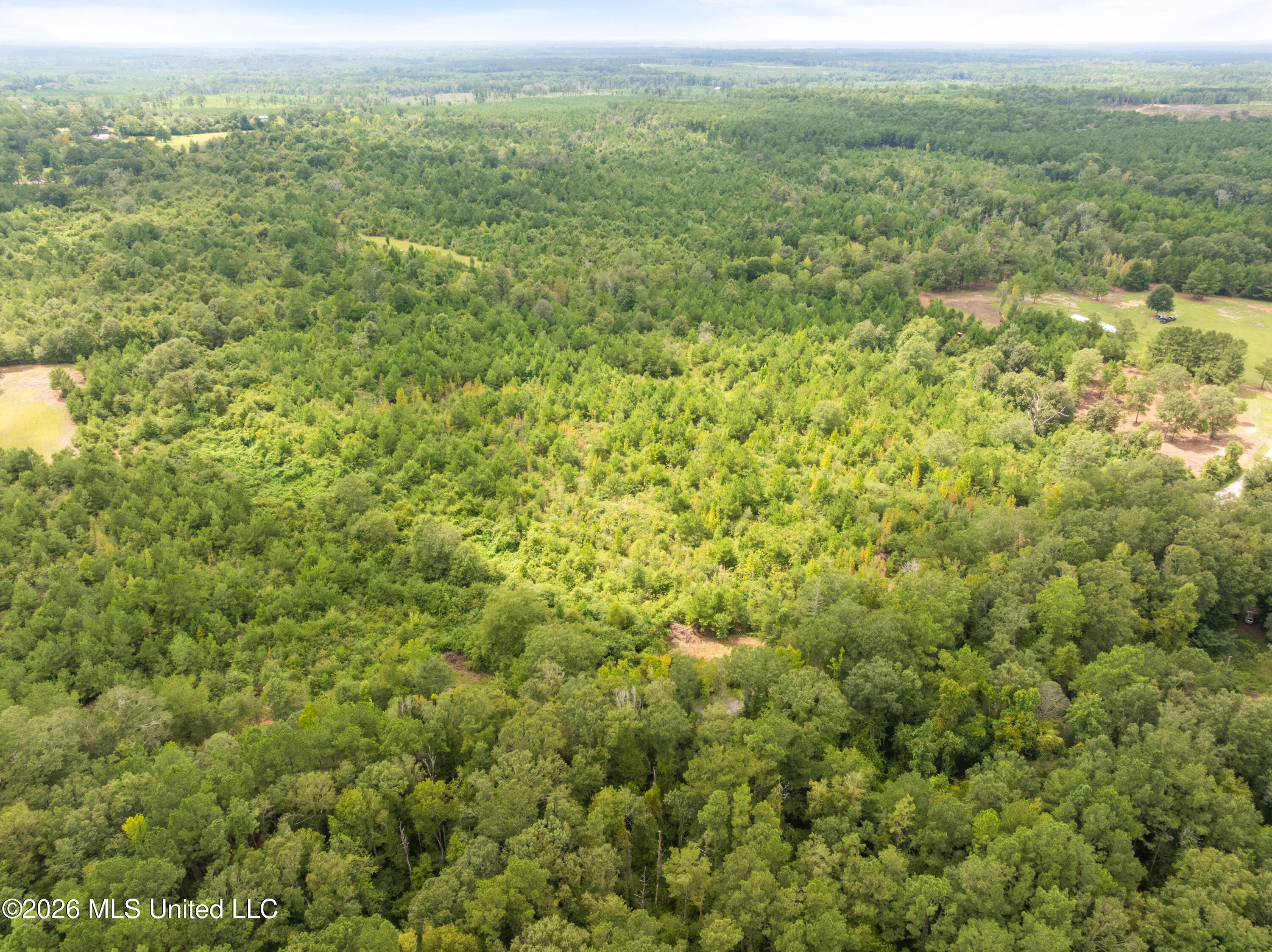 2705 Pilgrims Rest Road Property Photo 18